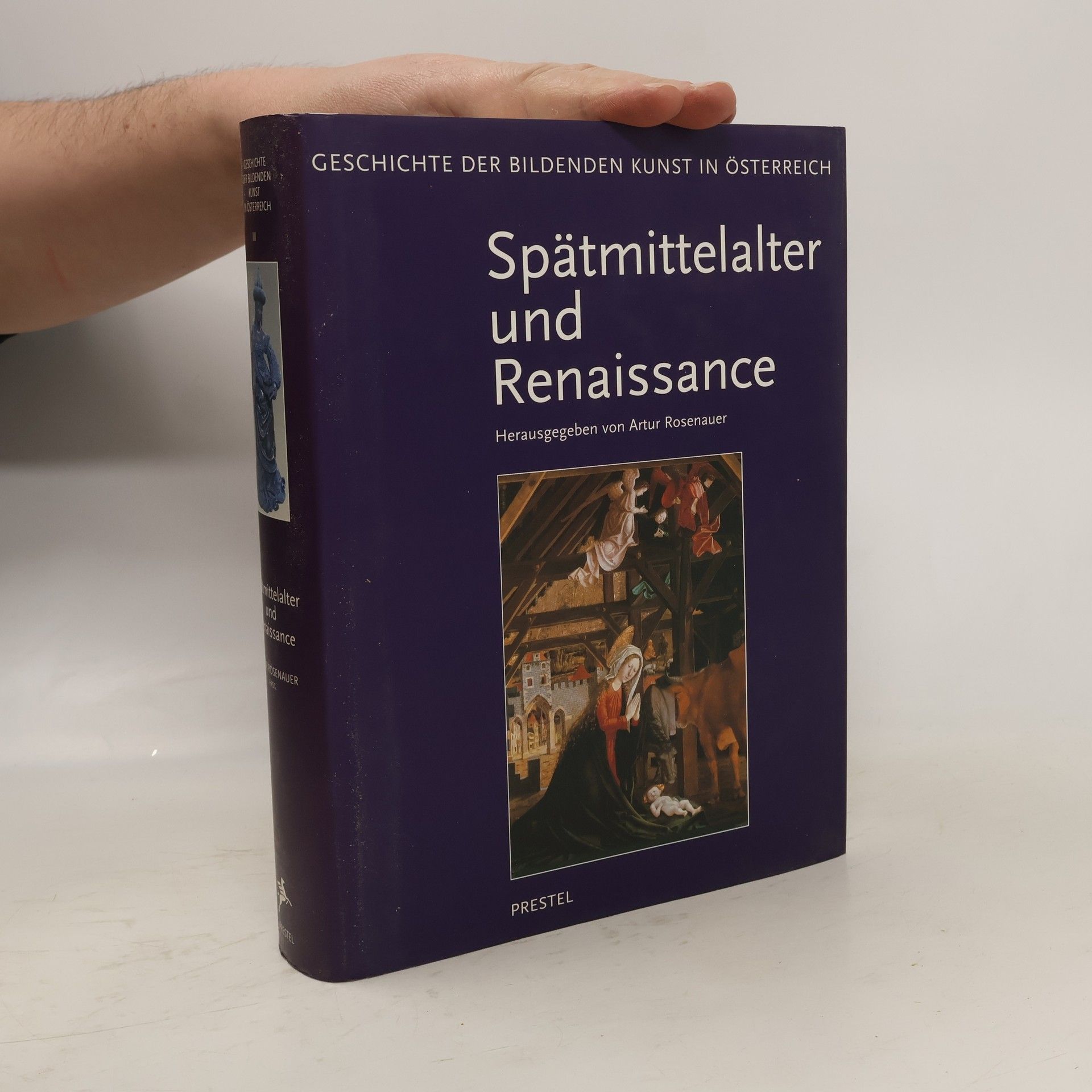 Artur Rosenauer Geschichte der bildenden Kunst in Österreich: Spätmittelalter und Renaissance