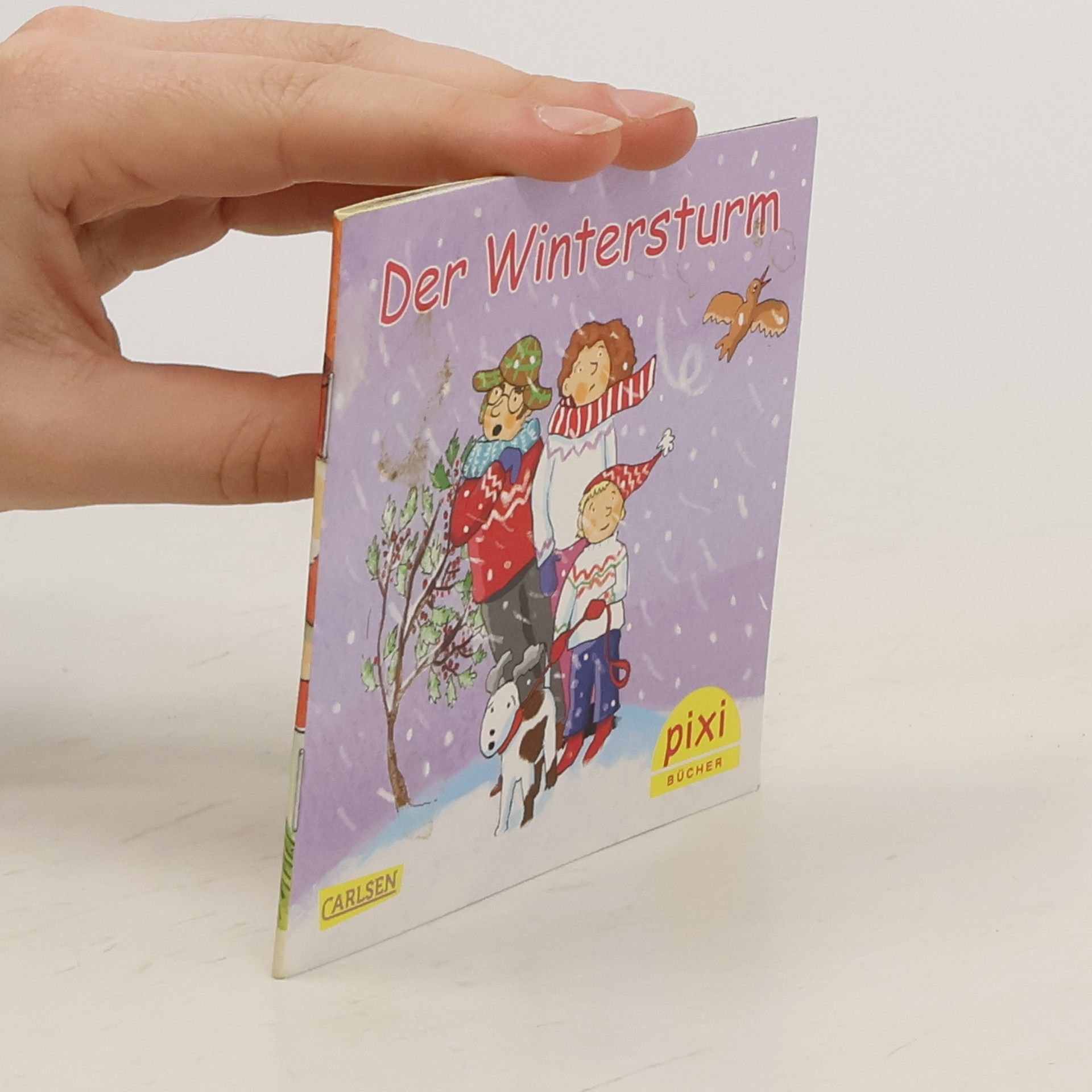 AA.VV. Der Winterstrum