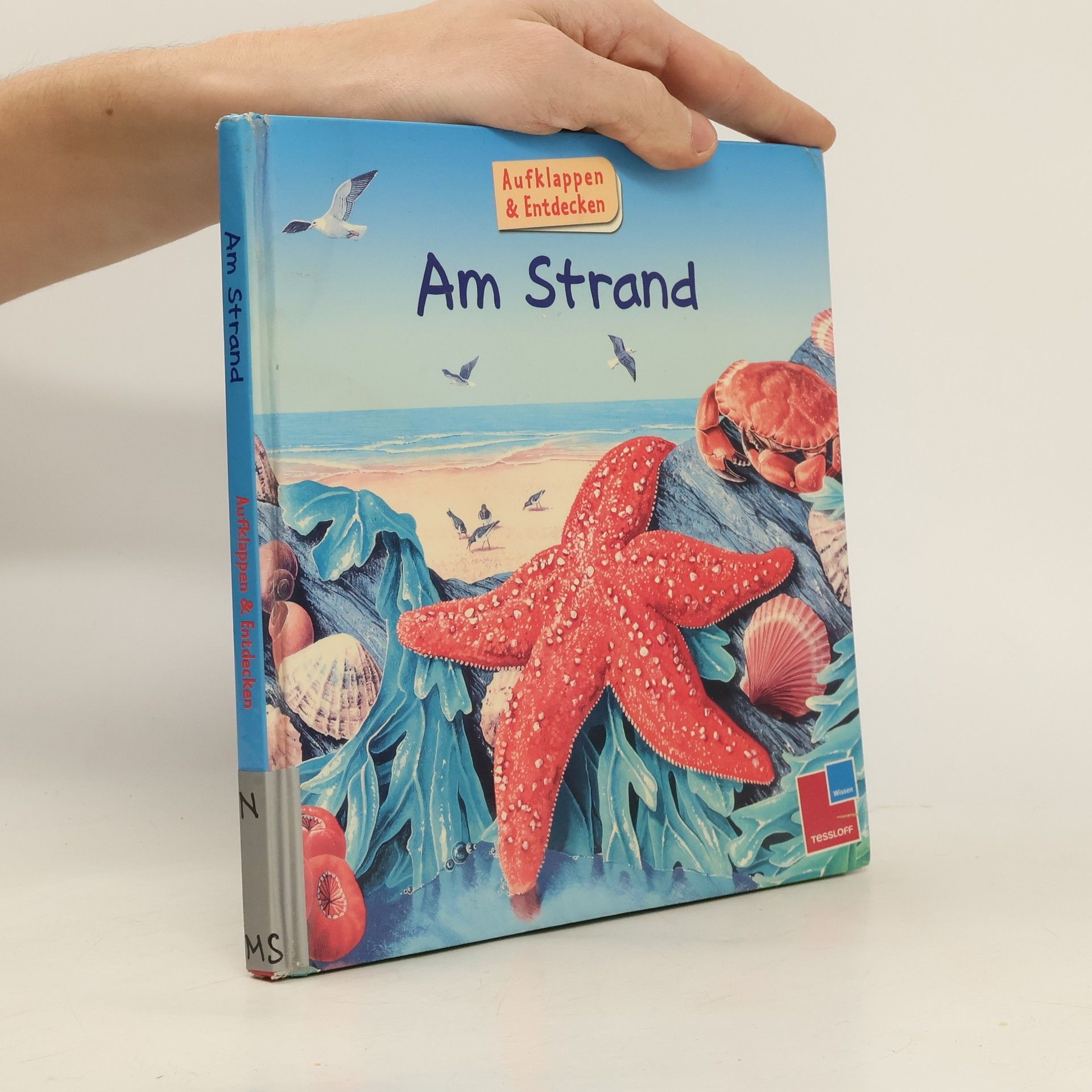 Alastair Smith Am Strand