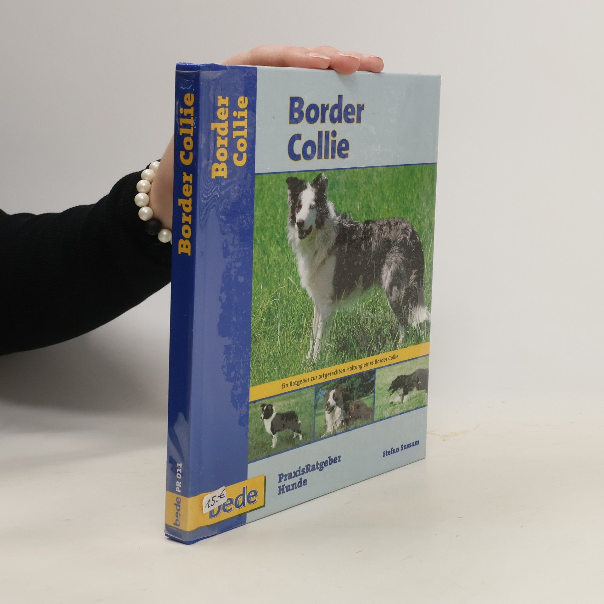 Stephen Sussam Border Collie