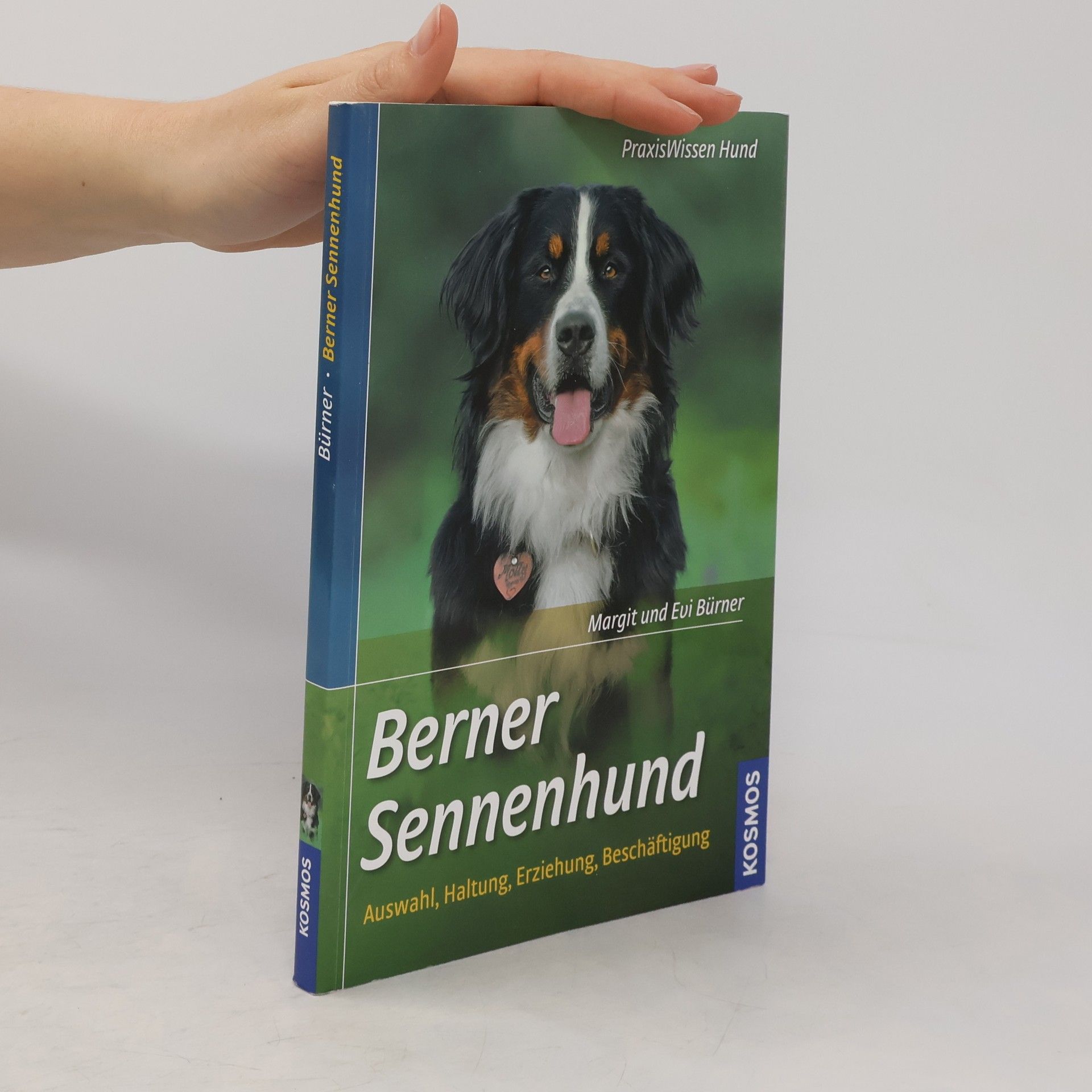 Margit Bürner Berner Sennenhund