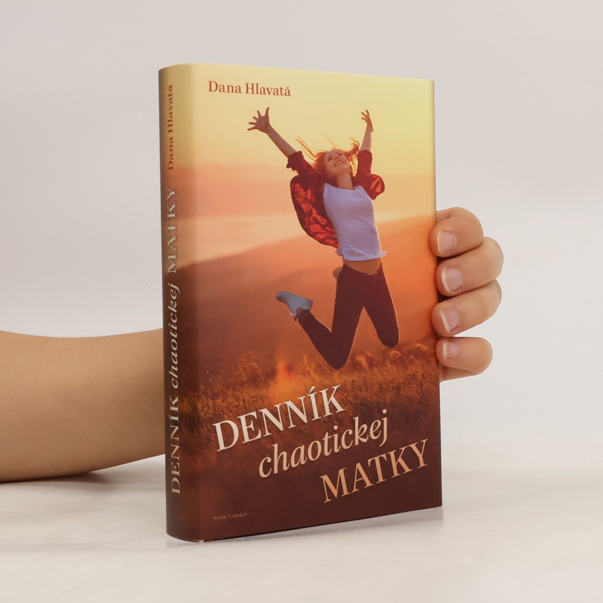 Dana Hlavatá Denník chaotickej matky