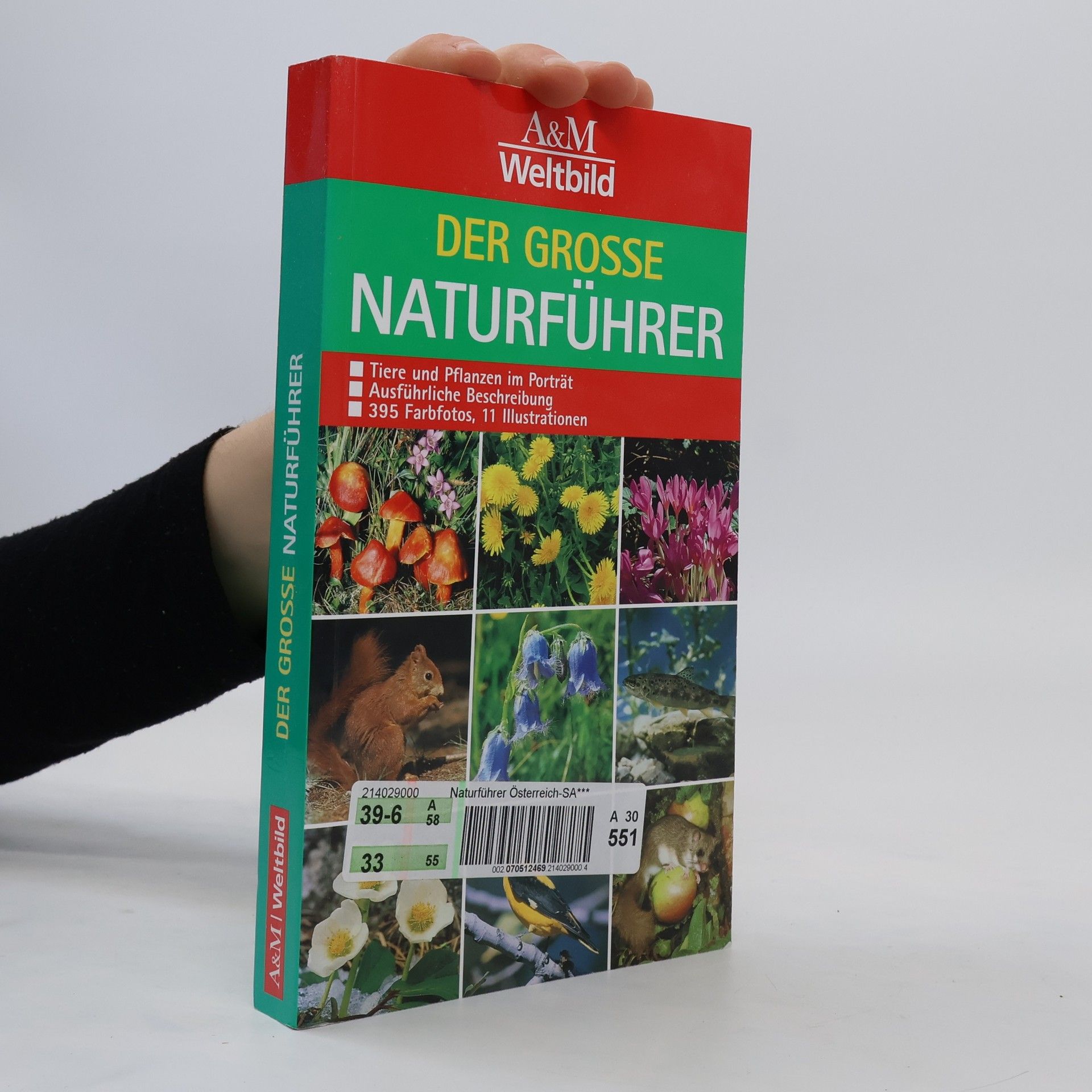 Autorenkollektiv Der grosse Naturführer