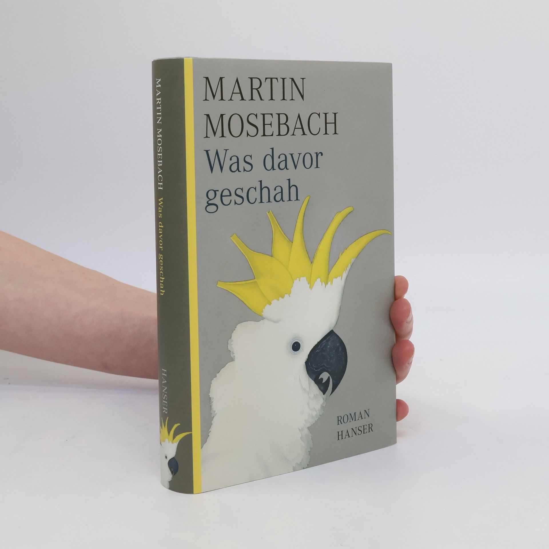 Martin Mosebach Was davor geschah