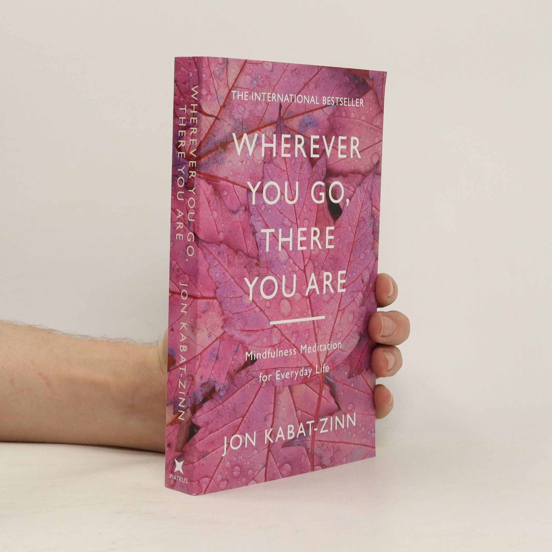 Jon Kabat Zinn Wherever You Go, There You are