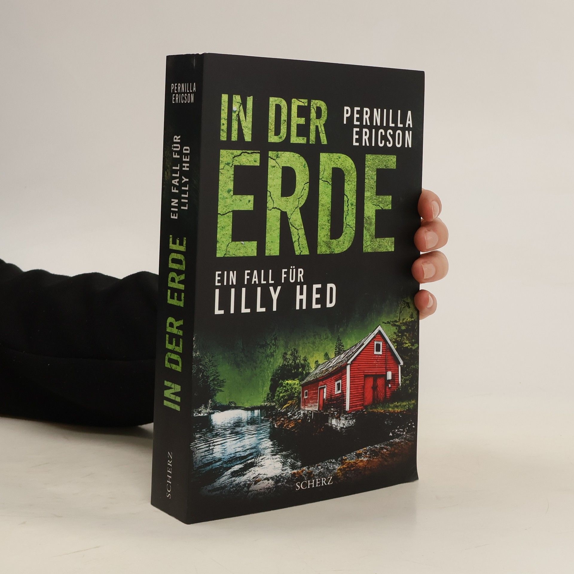 Pernilla Ericson In der Erde / Lilly Hed Bd.3