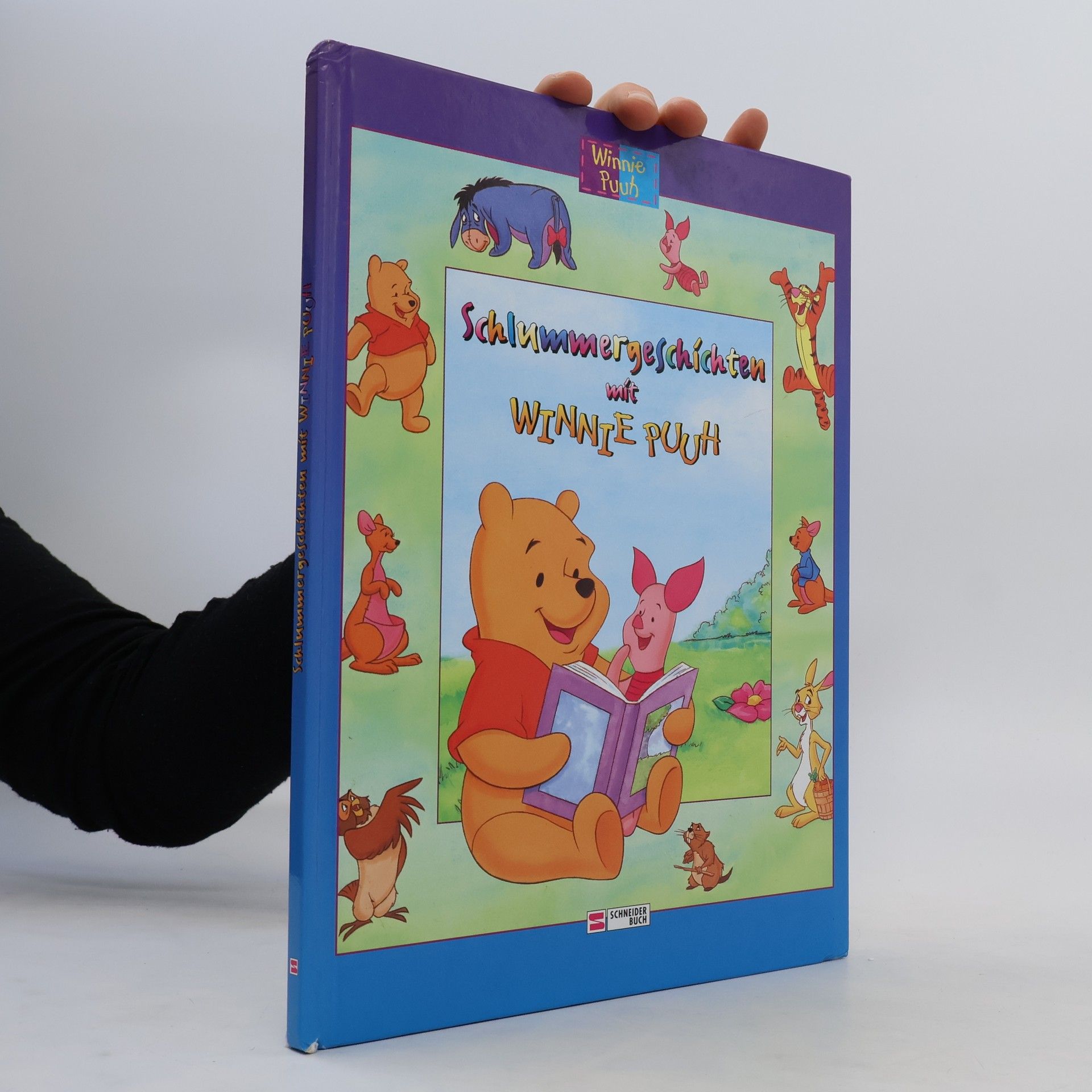 Michael Czernich Schlummergeschichten mit Winnie Puuh
