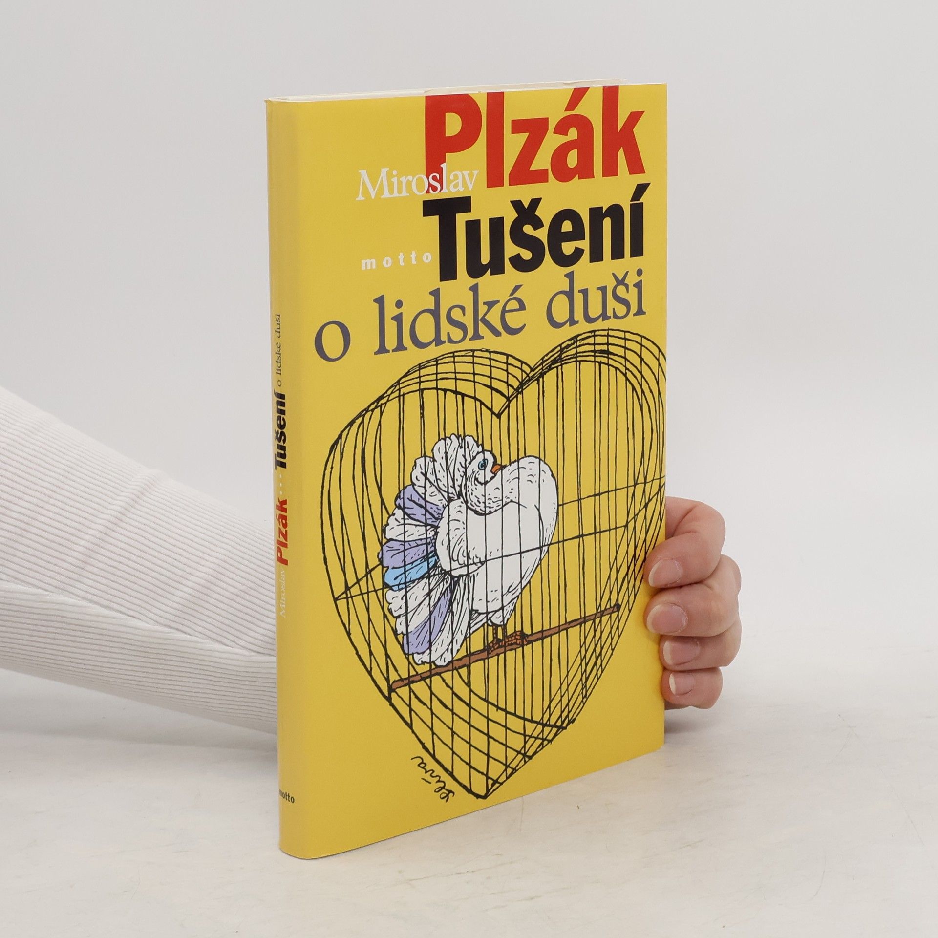 Miroslav Plzák Tušení o lidské duši