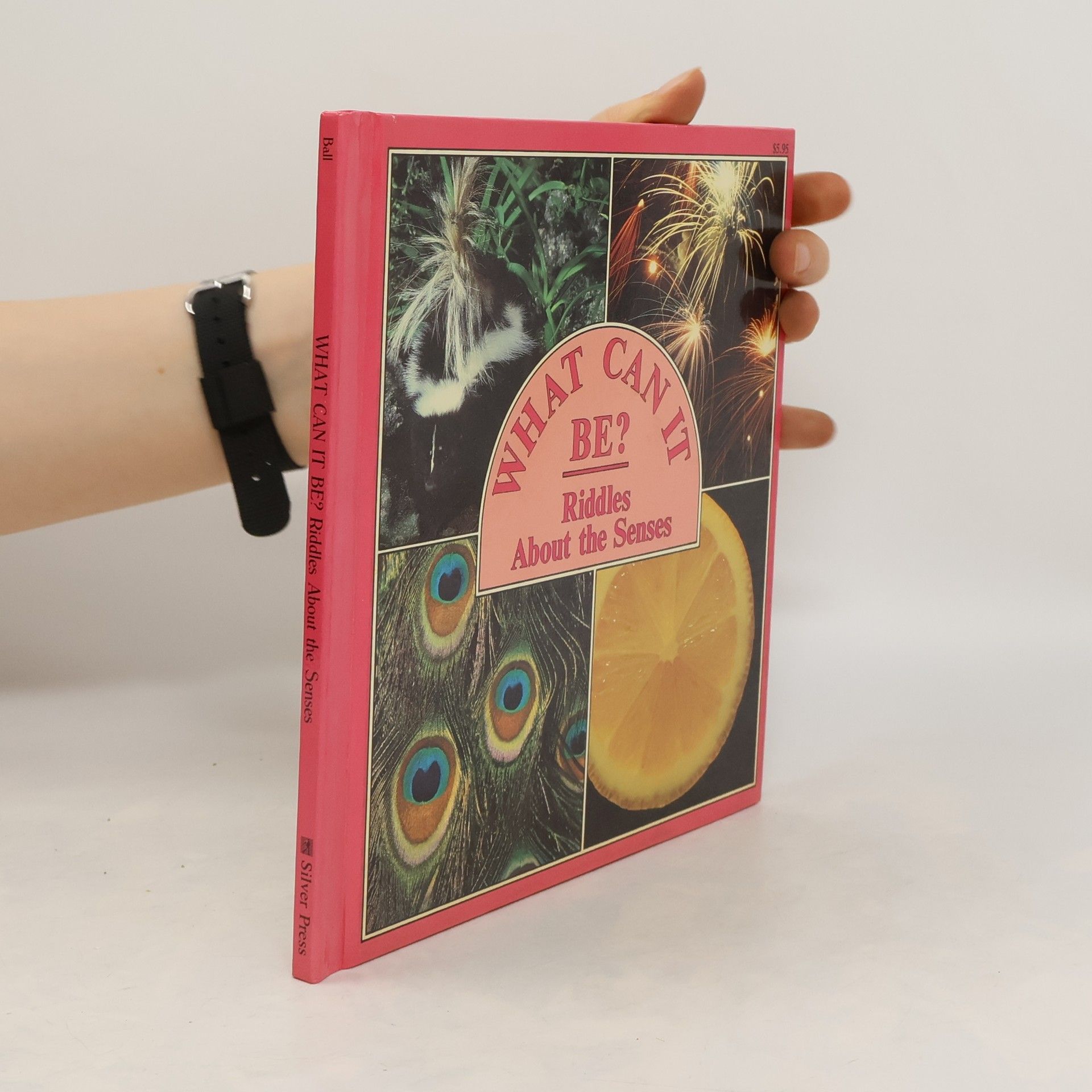 kolektiv What Can It Be? Riddles About the Senses