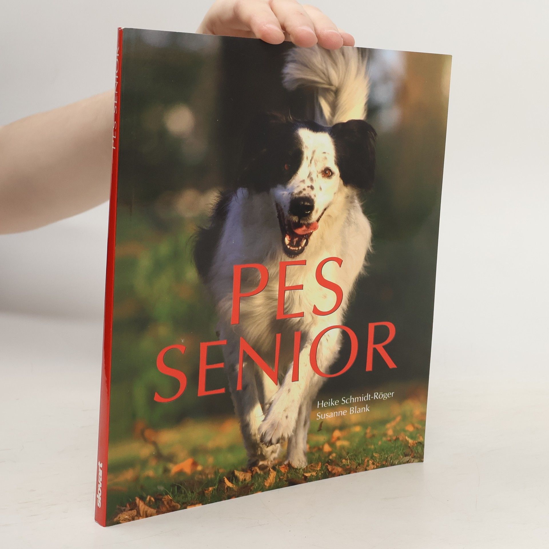 Heike Schmidt-Röger Pes senior