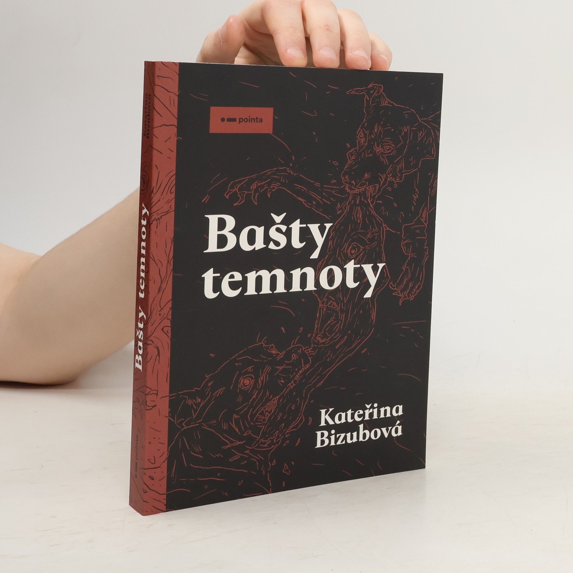 Kateřina Bizubová Bašty temnoty