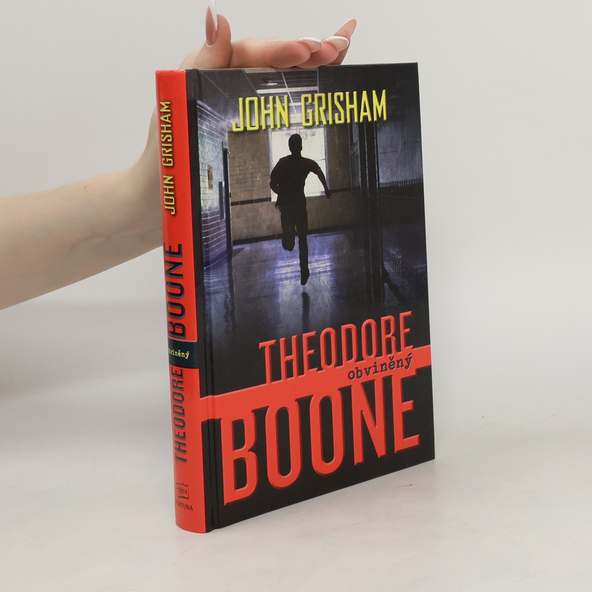 John Grisham Theodore Boone : obviněný