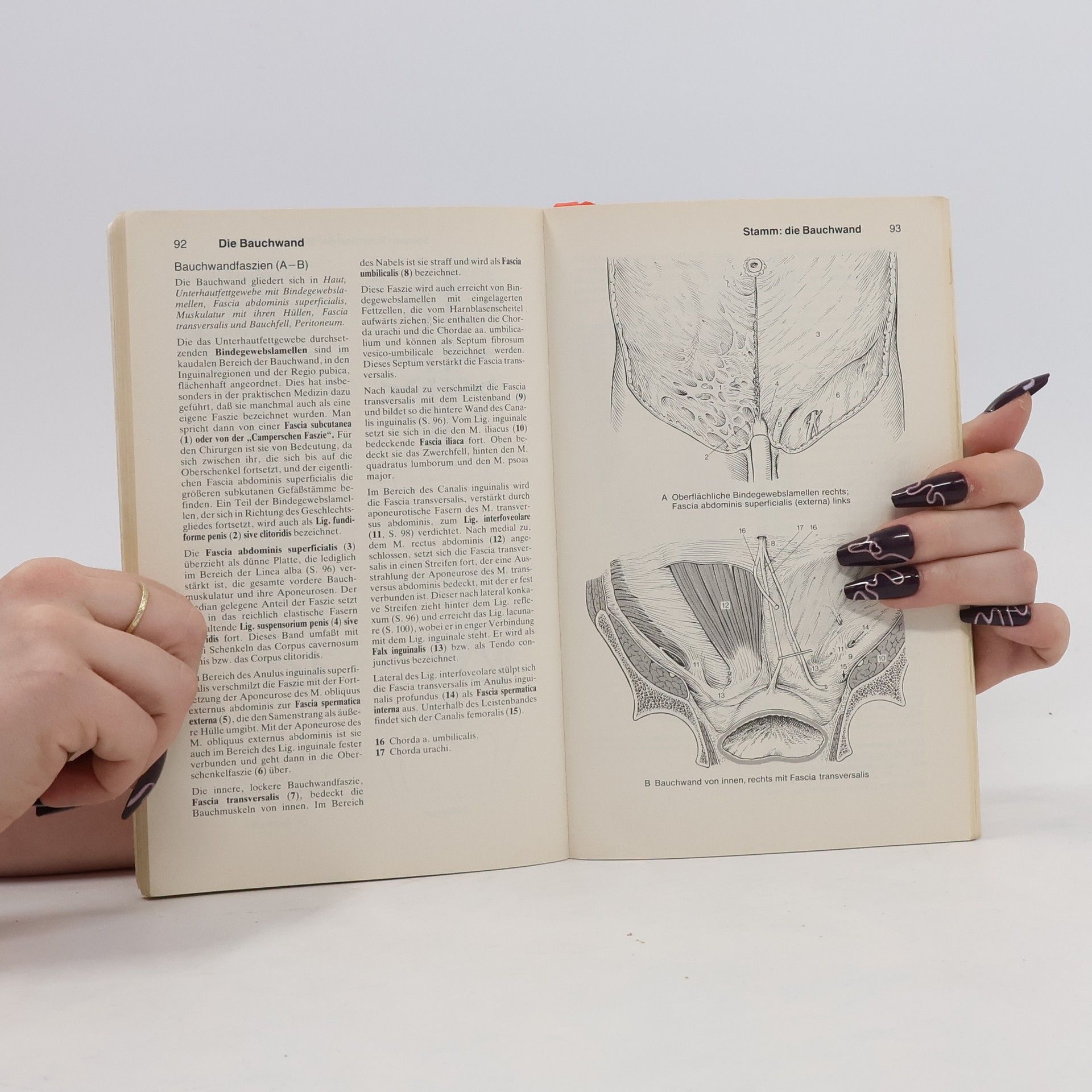 Werner Platzer Platzer Taschenatlas der Anatomie 1. Bewegungsapparat
