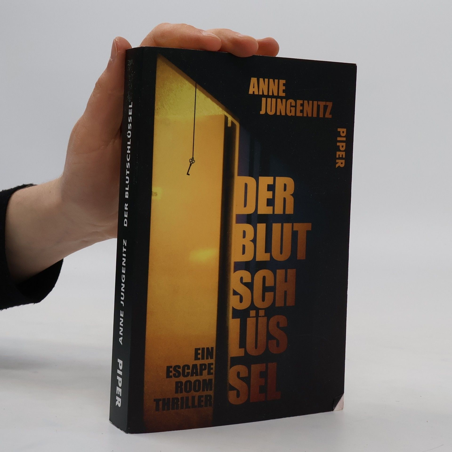 Anne Jungenitz Der Blutschlüssel