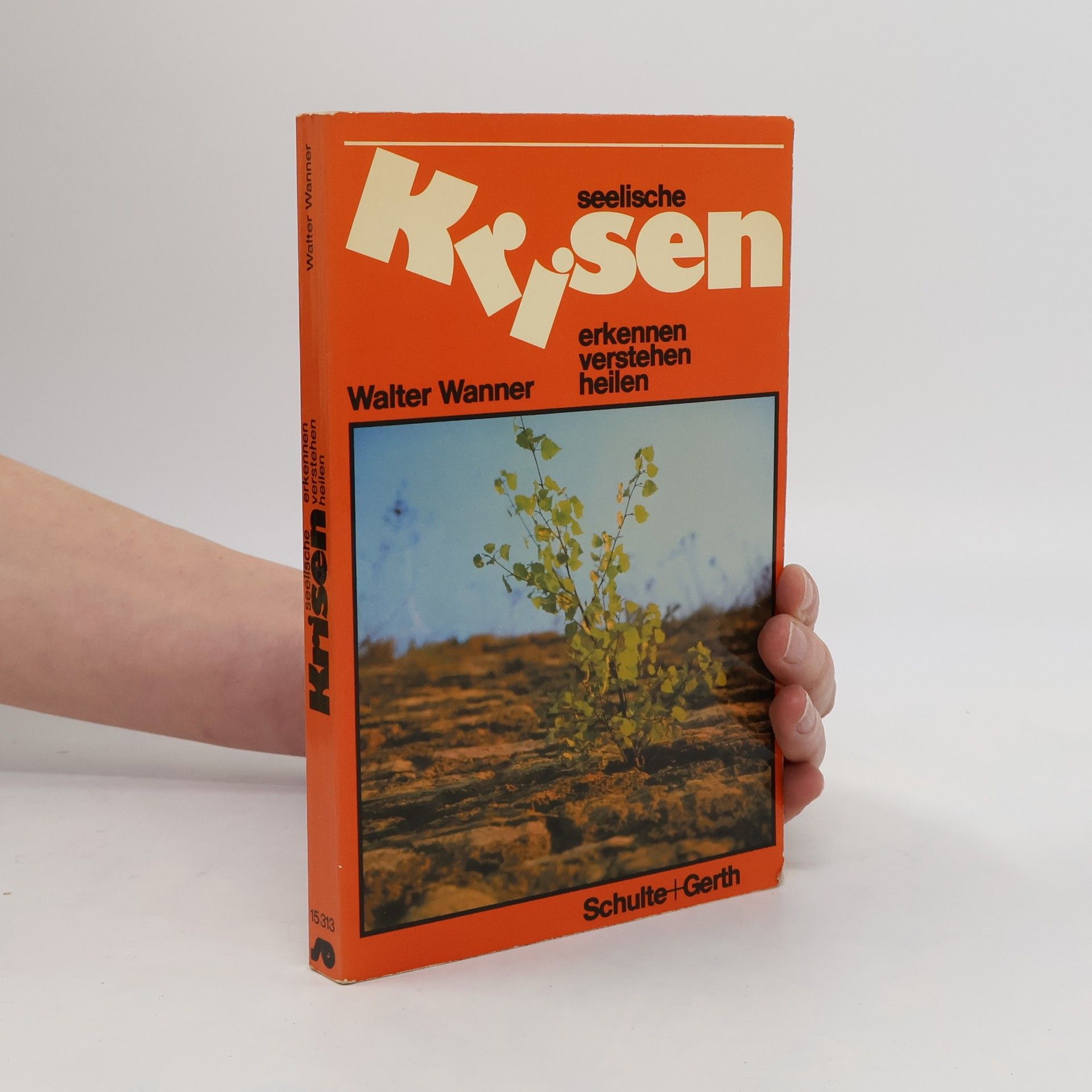 Walter Wanner Seelische Krisen