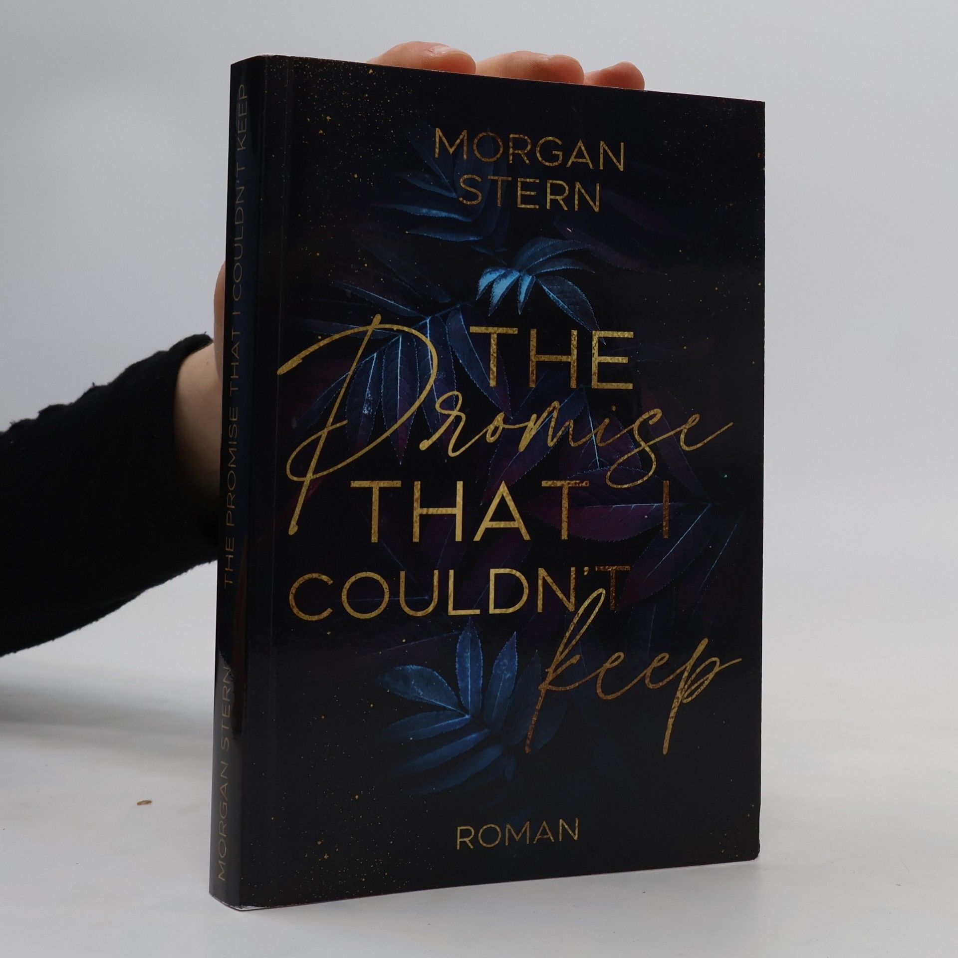 Morgan Stern The Promise that I Couldn't Keep