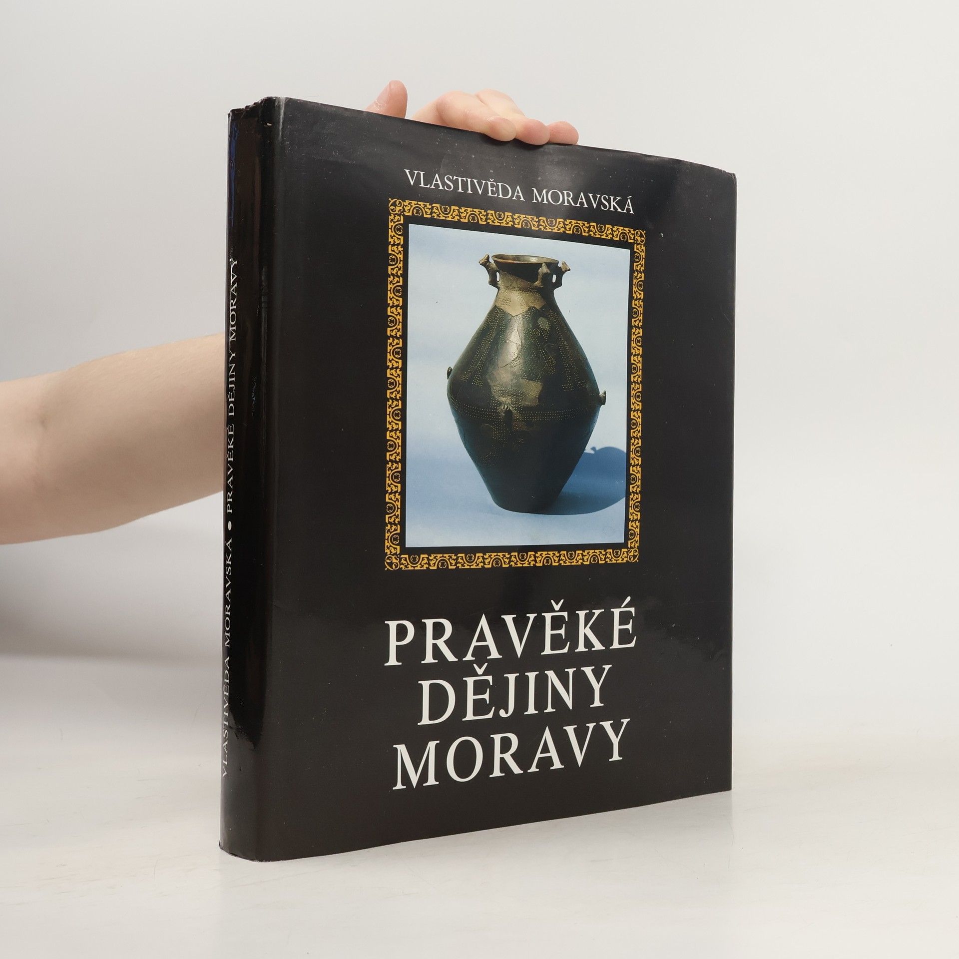 Vladimír Podborský Pravěké dějiny Moravy, Nová řada - Sv. 3