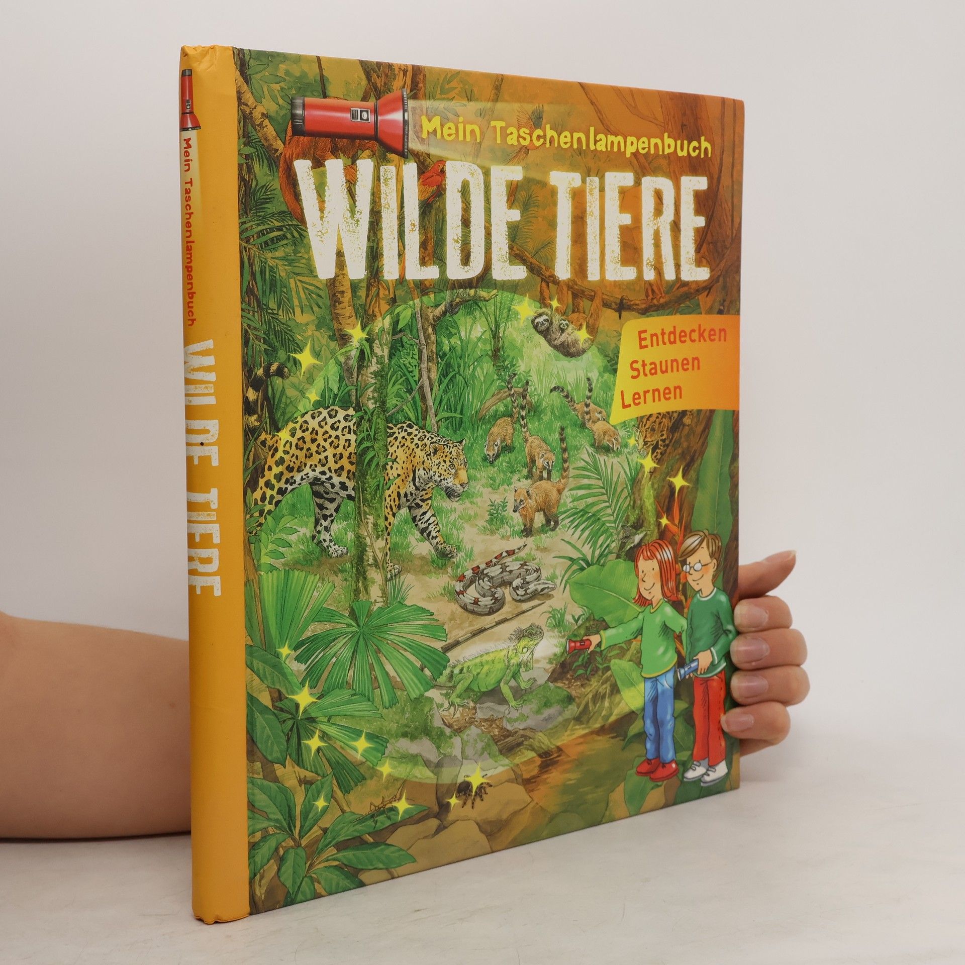 koletiv Mein Taschenlampenbuch Wilde Tiere