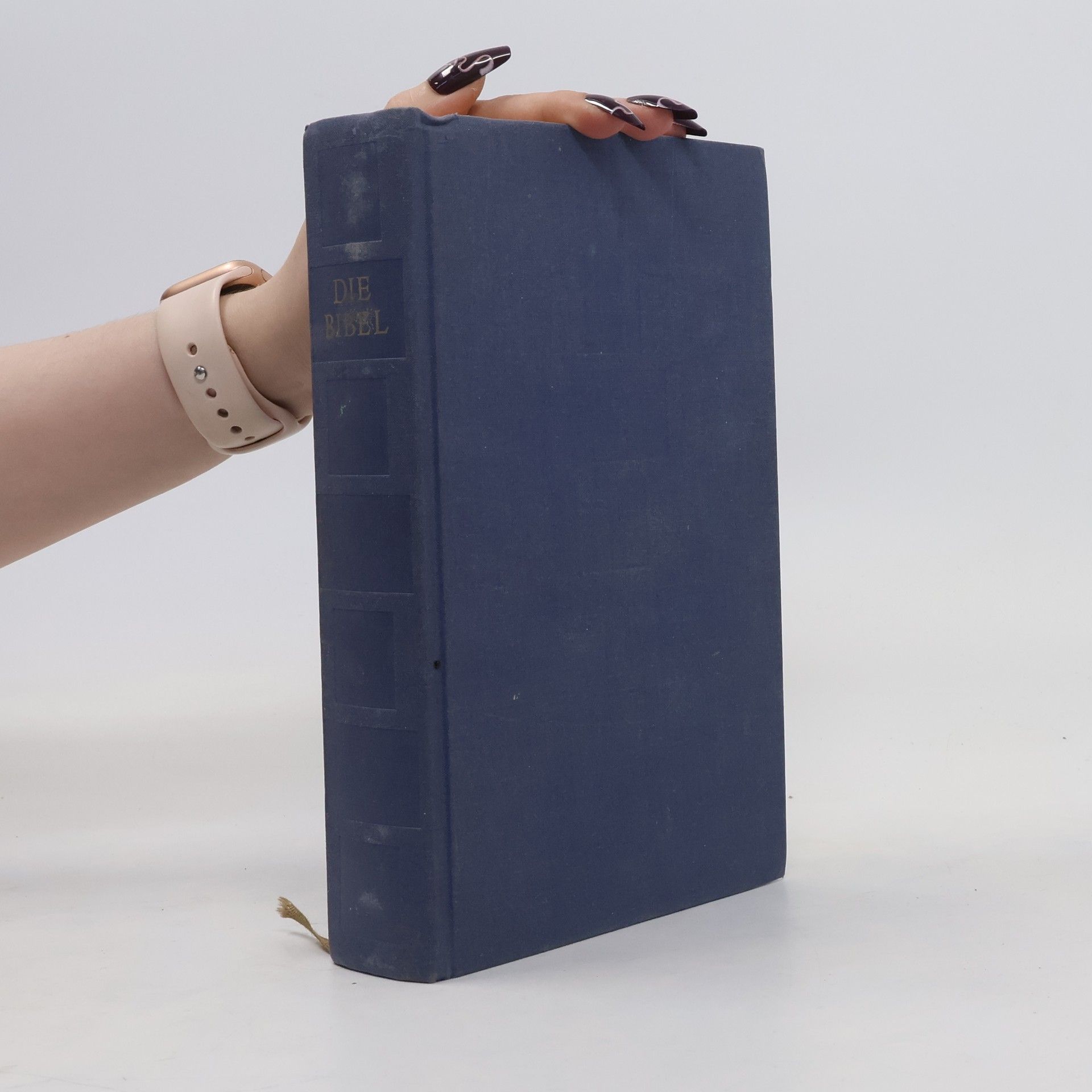Autorenkollektiv Gute Nachricht Bibel. Verschenk-Ausgabe; ohne Spätschriften des Alten Testaments
