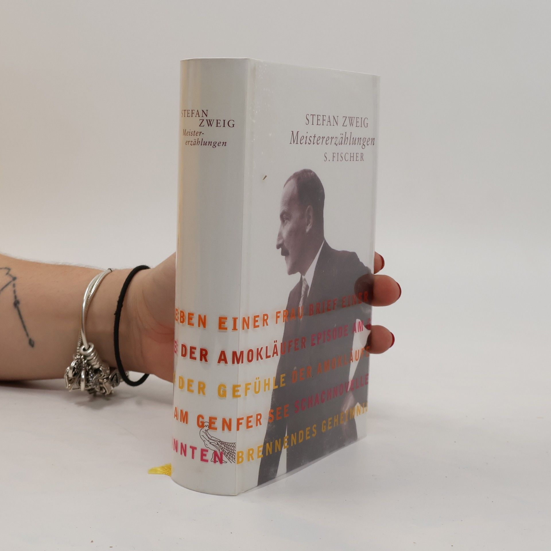 Stefan Zweig Meistererzählungen