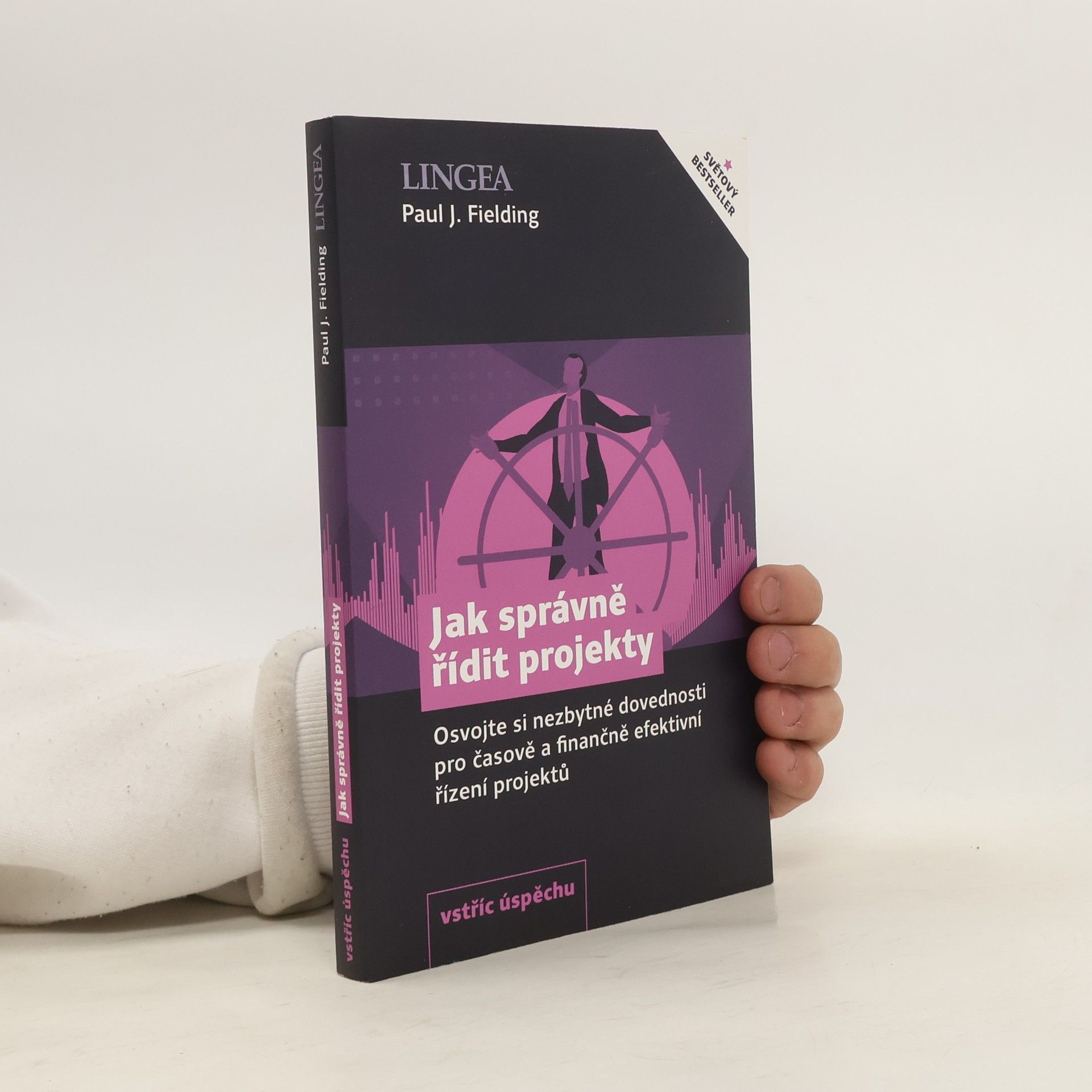 Paul J. Fielding Jak správně řídit projekty