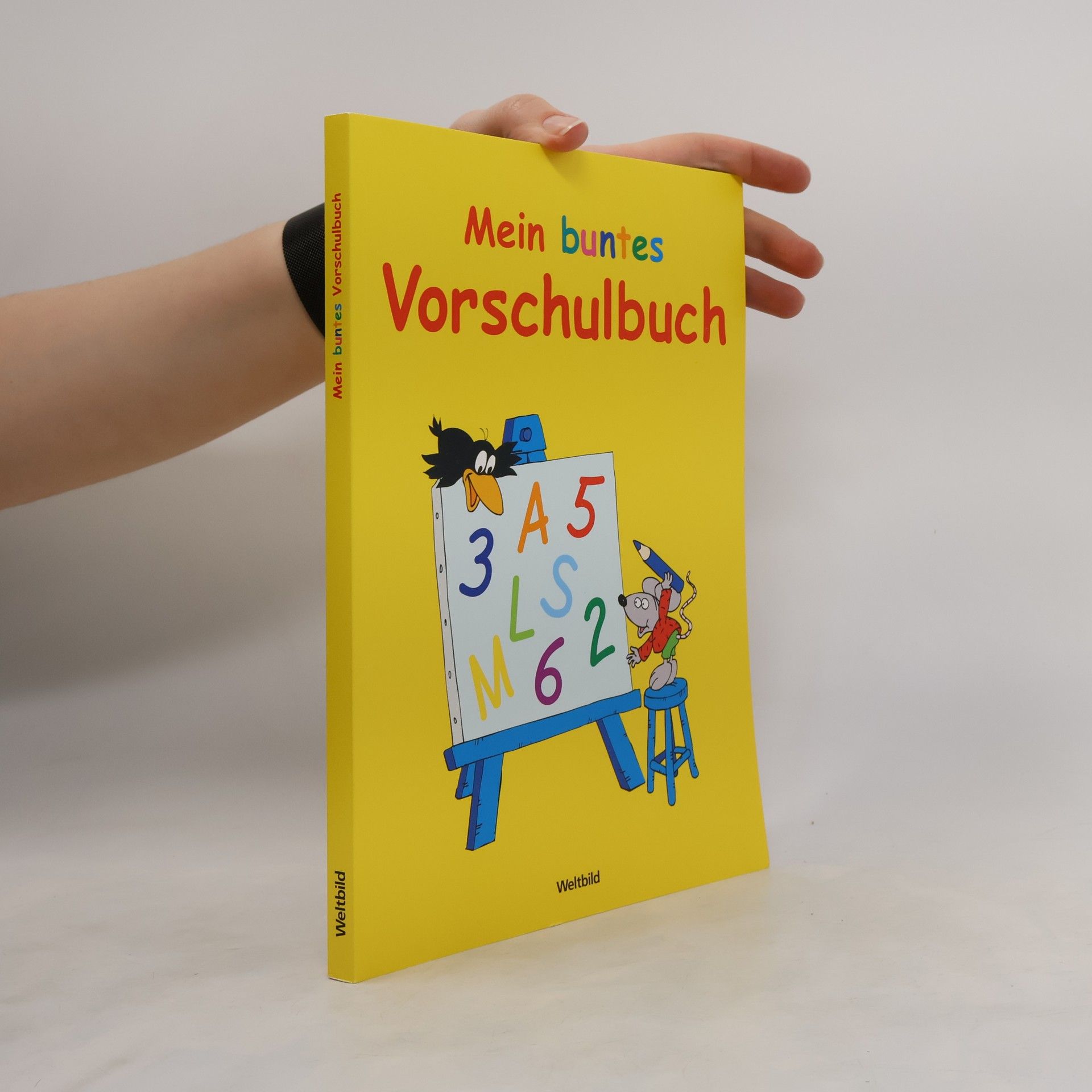 Auteurscollectief Mein buntes Vorschulbuch