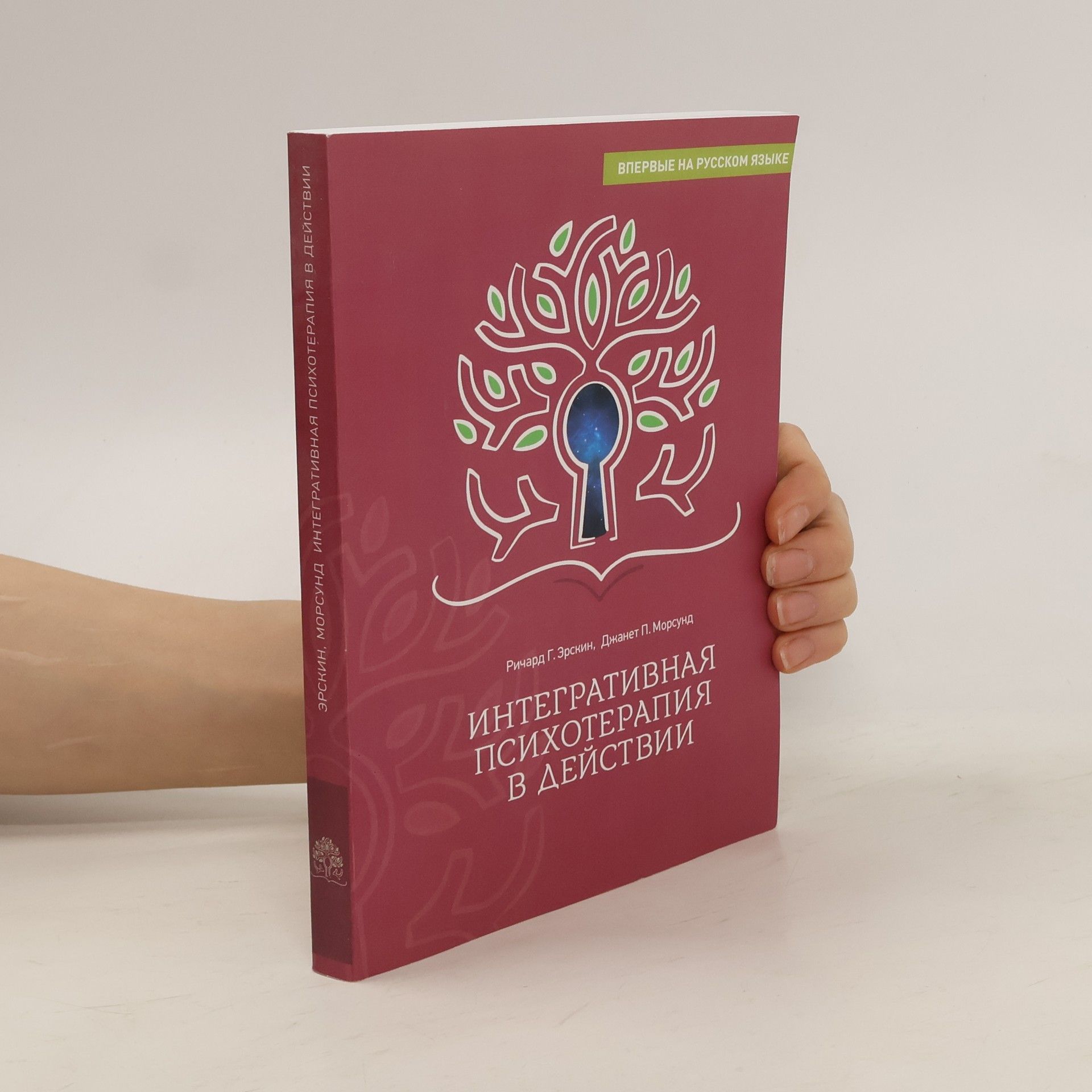 Интегративная психотерапия в действии