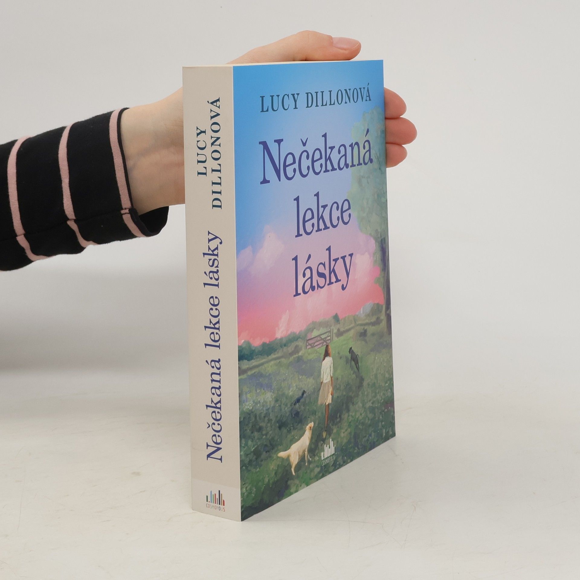 Lucy Dillon Nečekaná lekce lásky