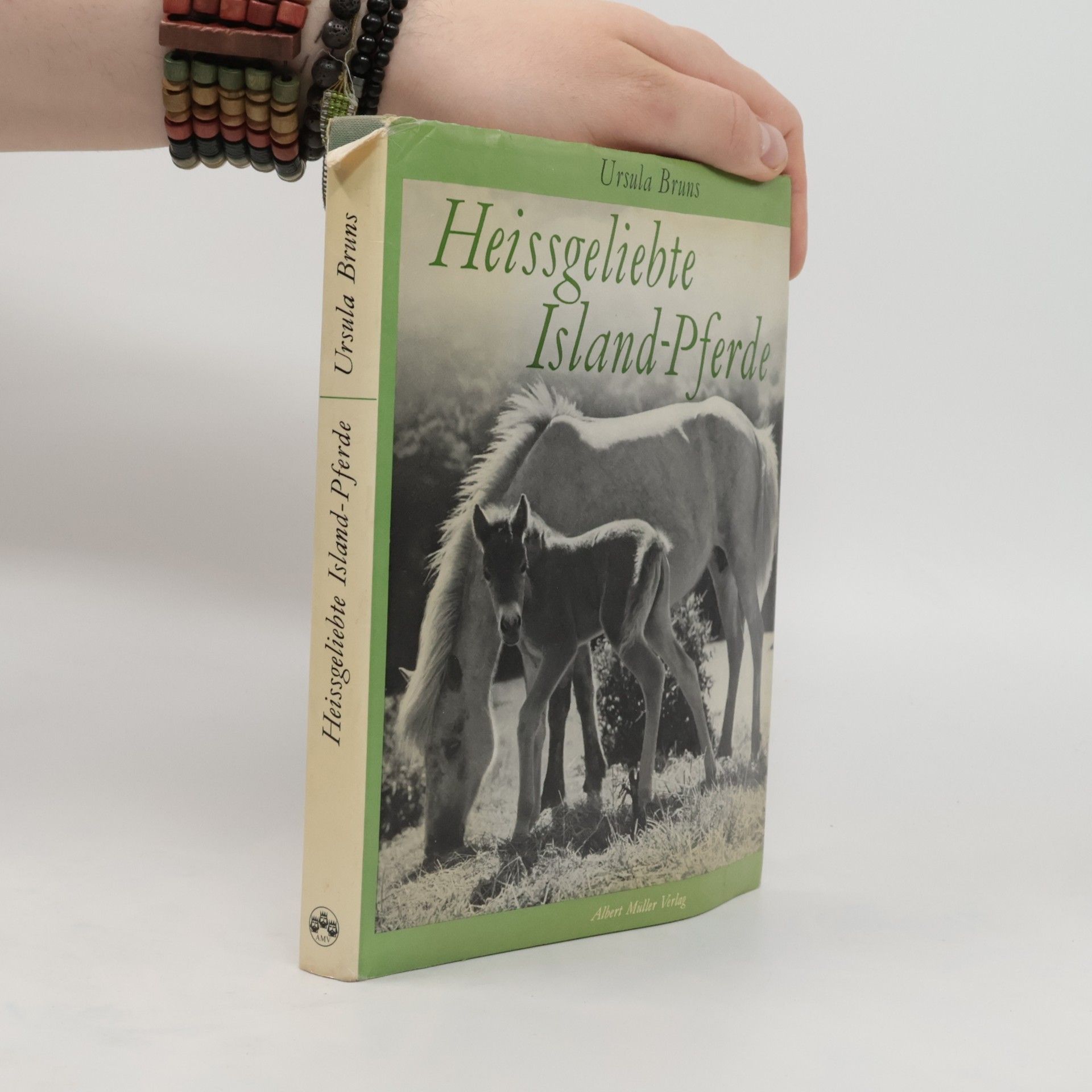 Ursula Bruns Heissgeliebte Island Pferde