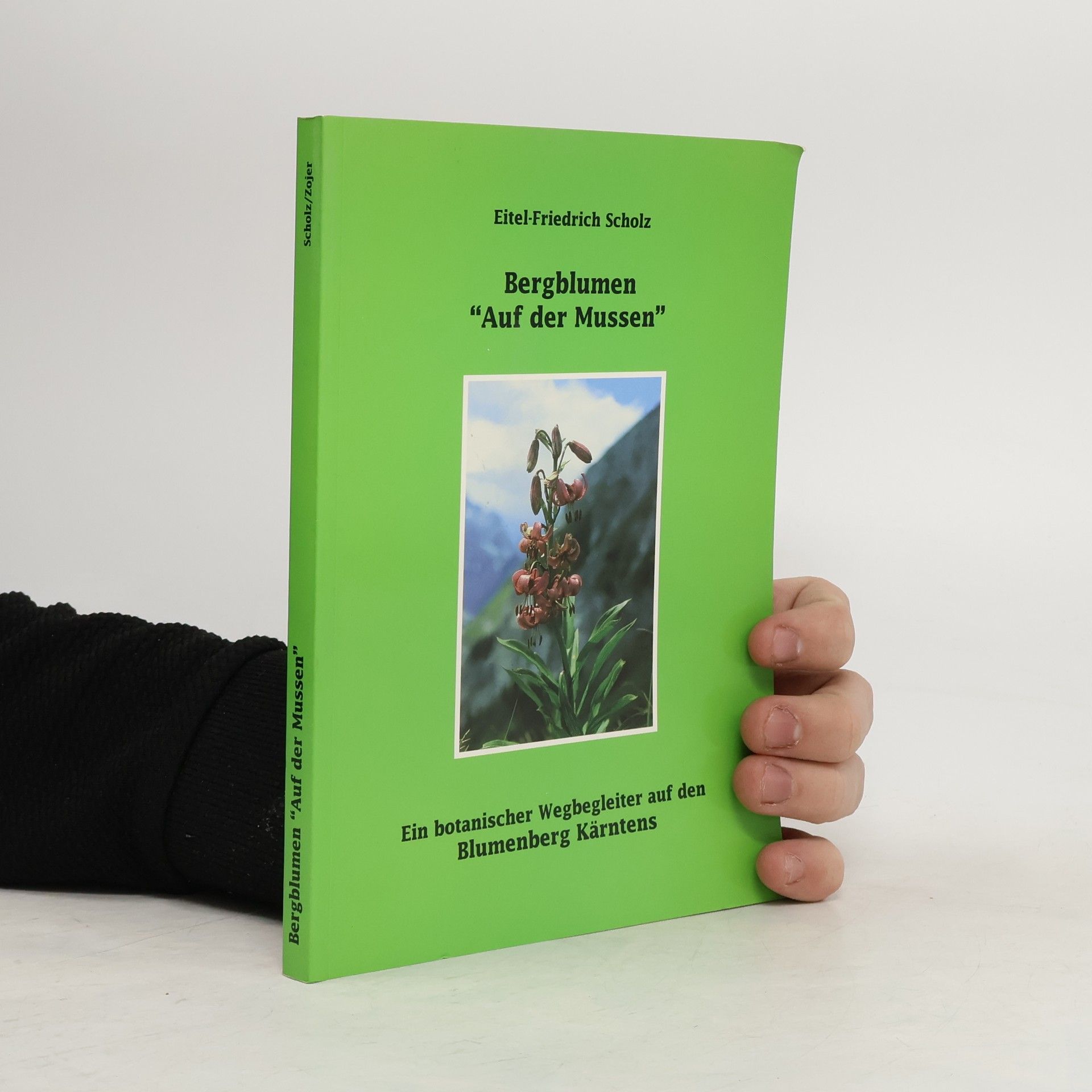 Bergblumen Auf der Mussen