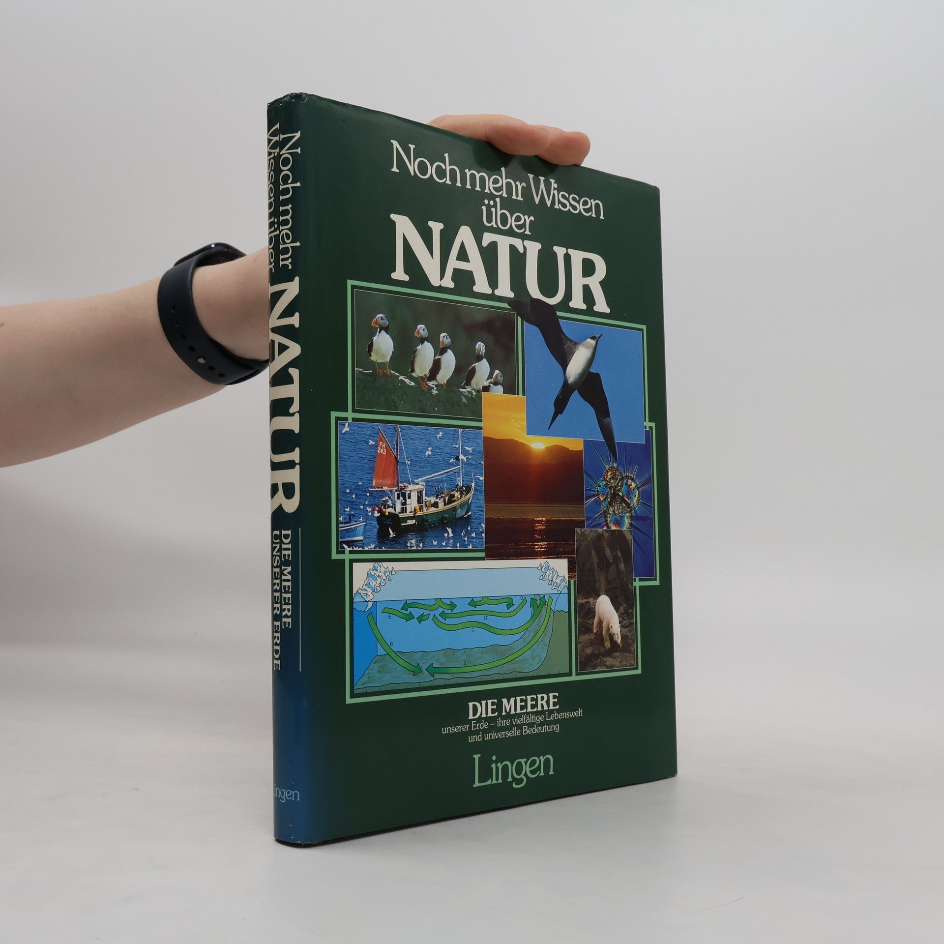 Collectif d'auteurs Noch mehr Wissen über Natur. Die Meere