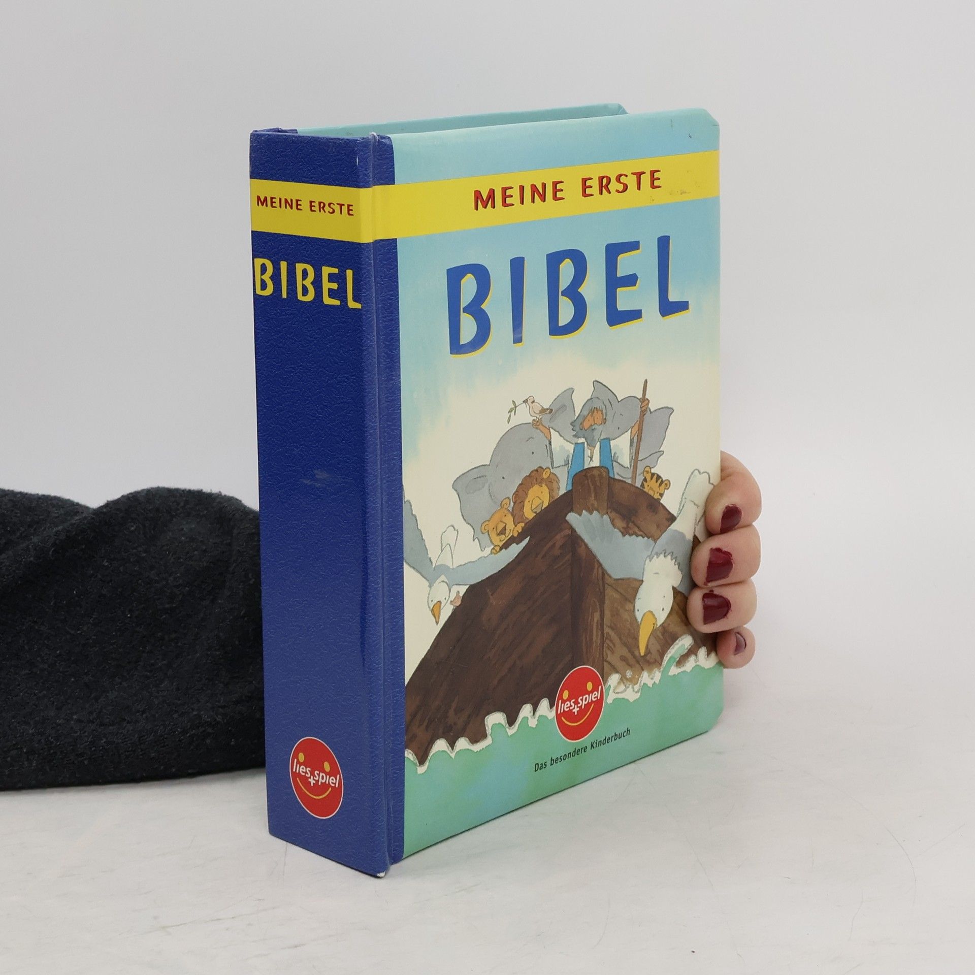 Leena Lane Meine erste Bibel