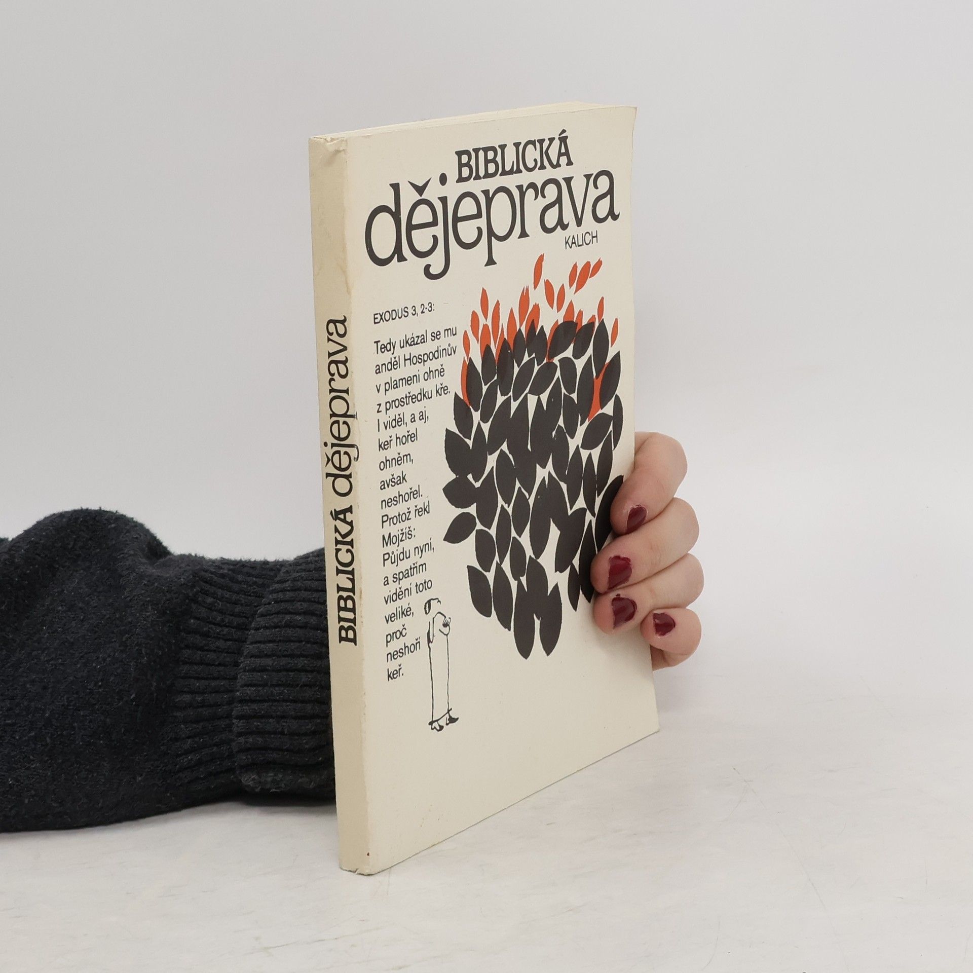 Autorenkollektiv Biblická dějeprava