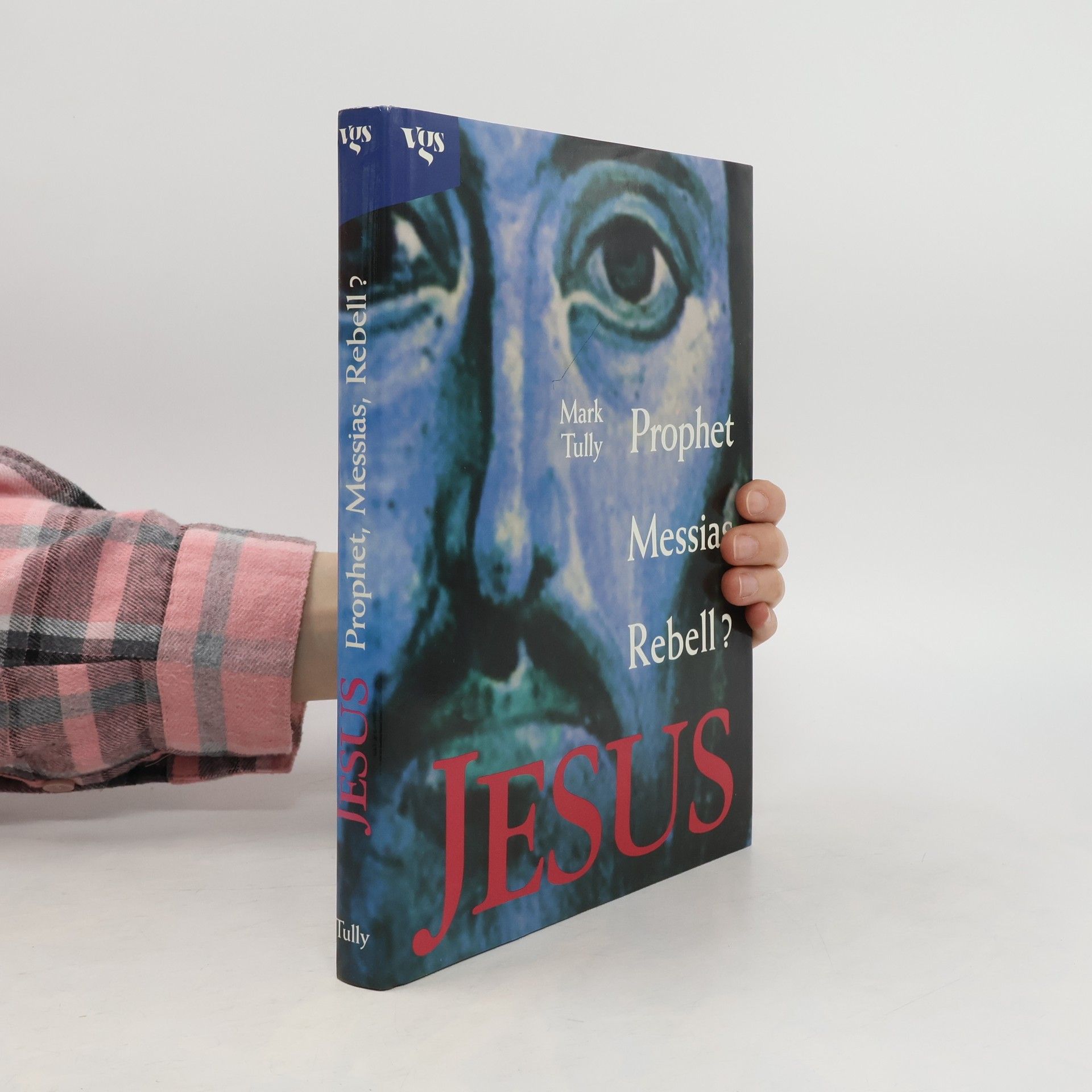 Mark Tully Jesus, Prophet, Messias, Rebell?. Begleitbd. z. Serie d. BBC in d. ARD