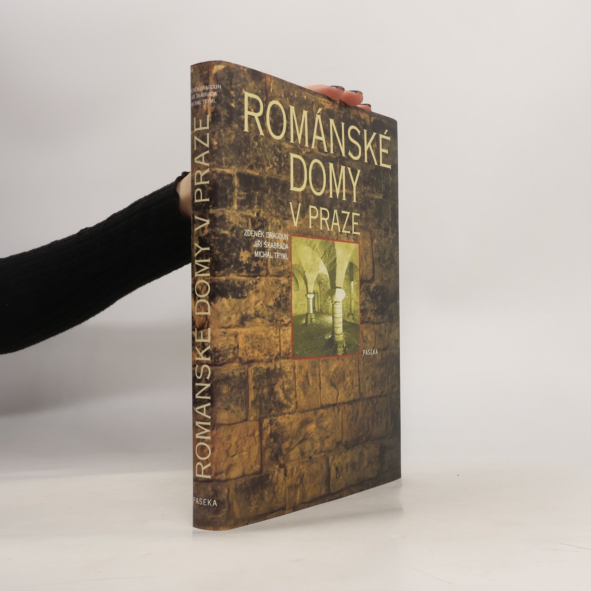 Jiří Škabrada Románské domy v Praze