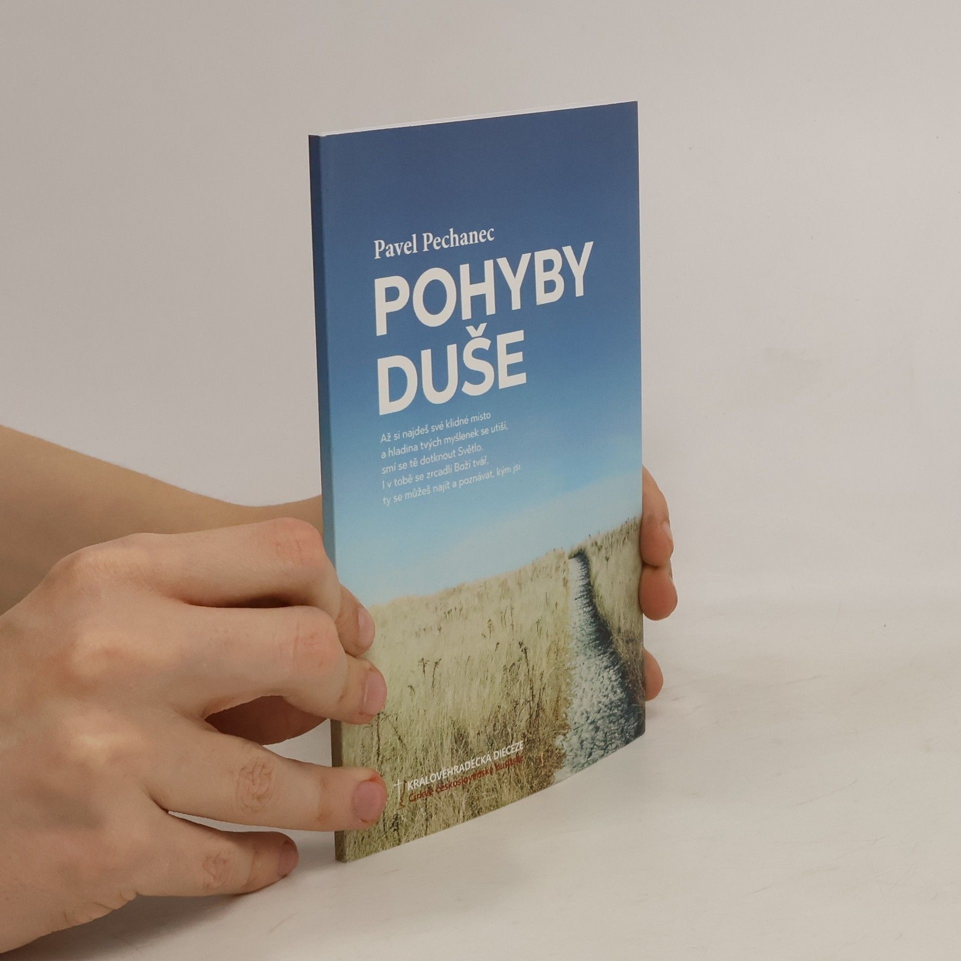 Pavel Pechanec Pohyby duše
