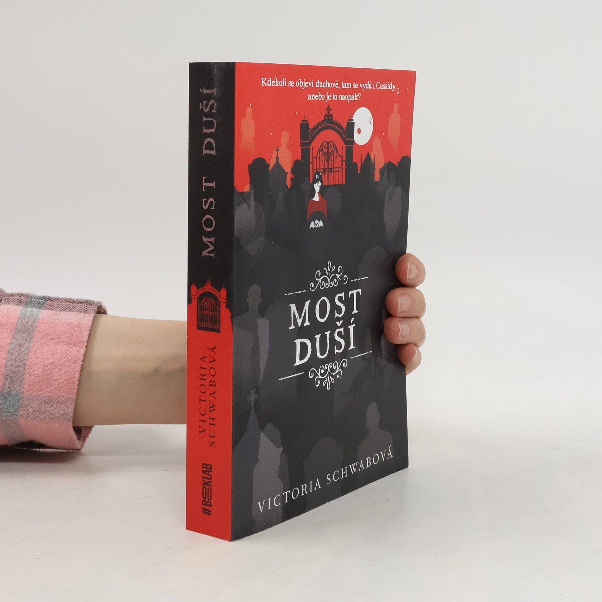 V. E. Schwab Most duší