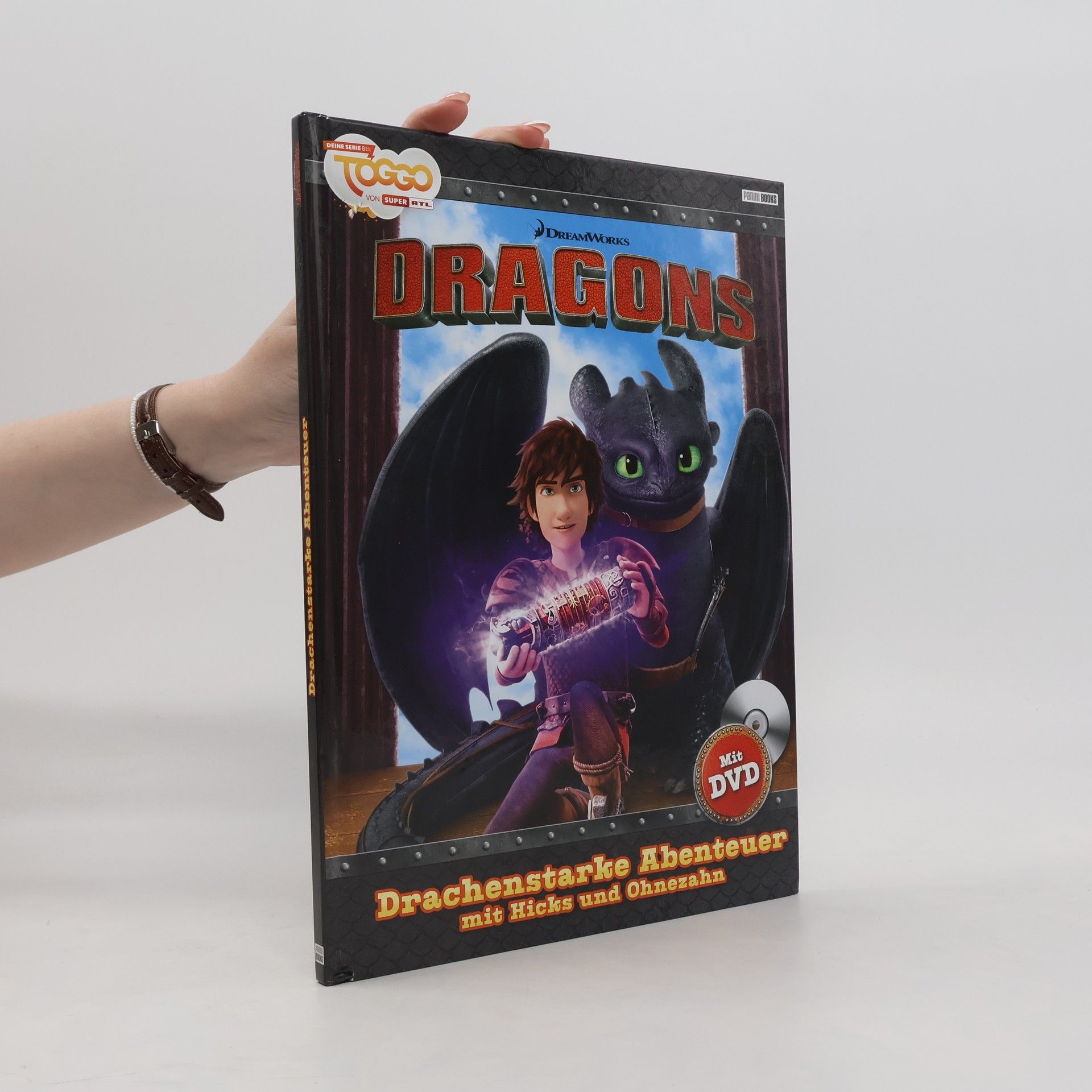 Marisa Reinelt Dragons - Drachenstarke Abenteuer mit Hicks und Ohnezahn