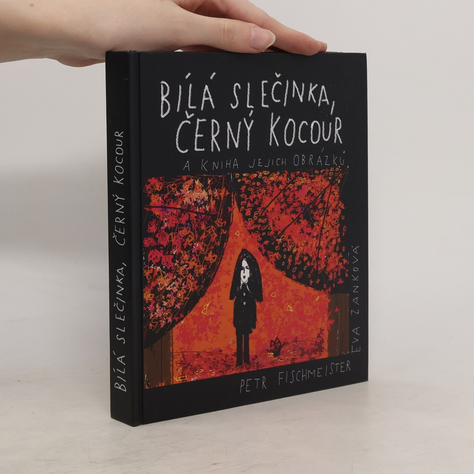 Petr Fischmeister Bílá slečinka, černý kocour a kniha jejich obrázků
