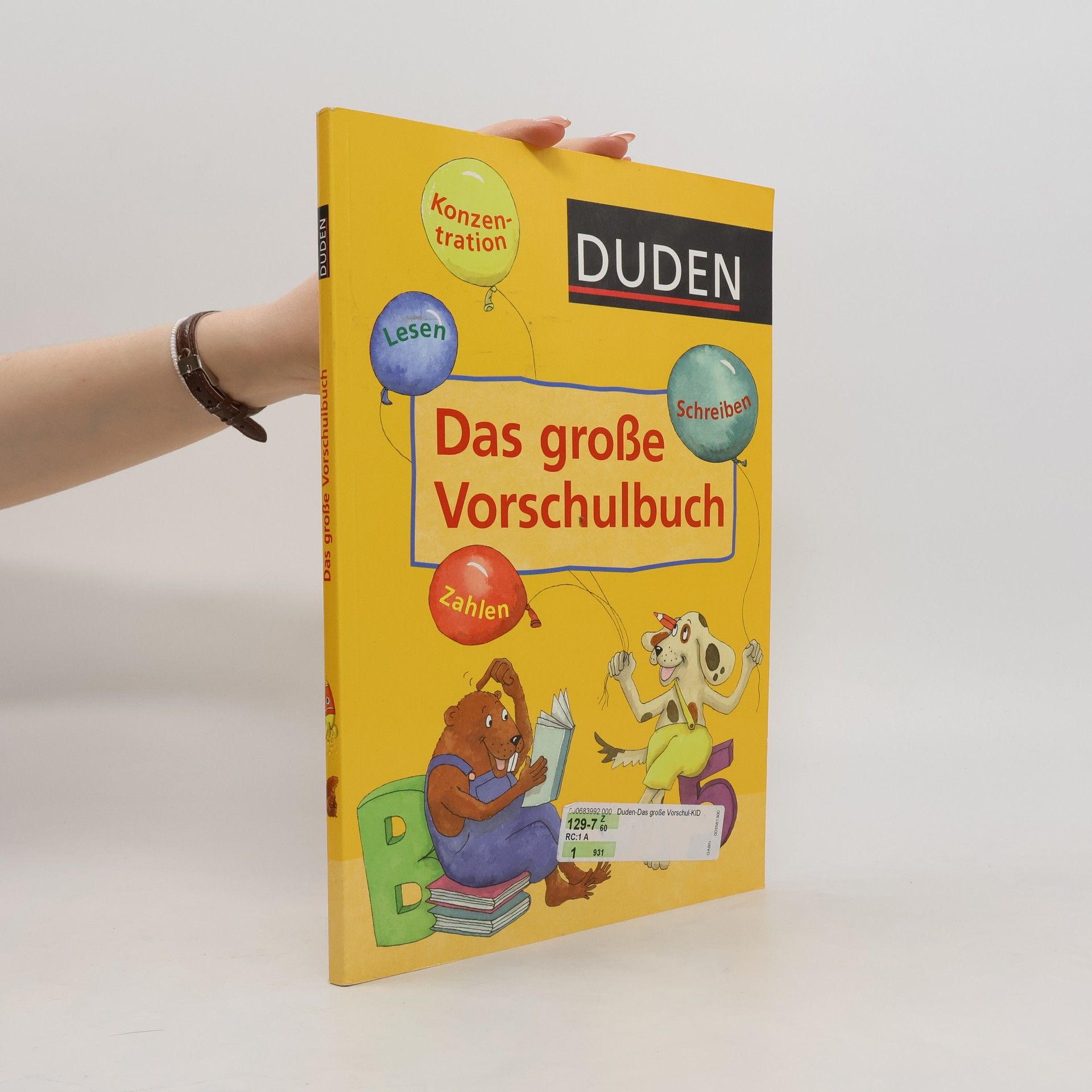 Ulrike Holzwarth Das große Vorschulbuch