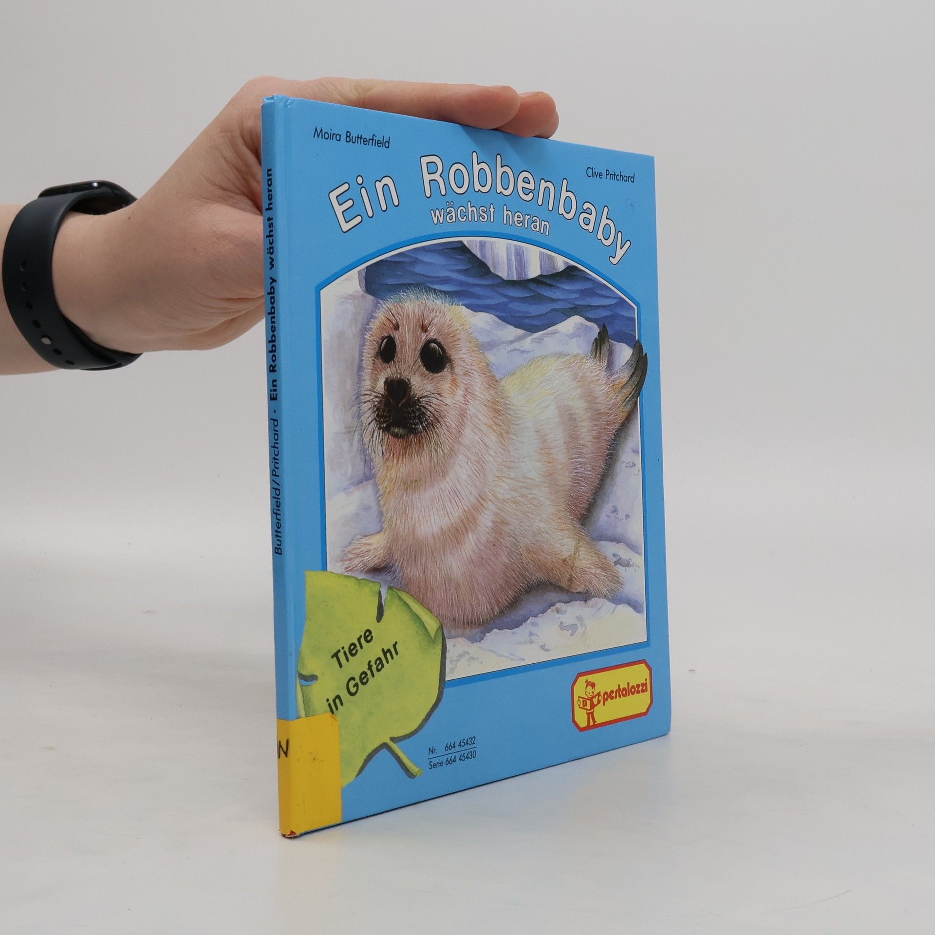 Moira Butterfield Ein Robbenbaby wächst heran