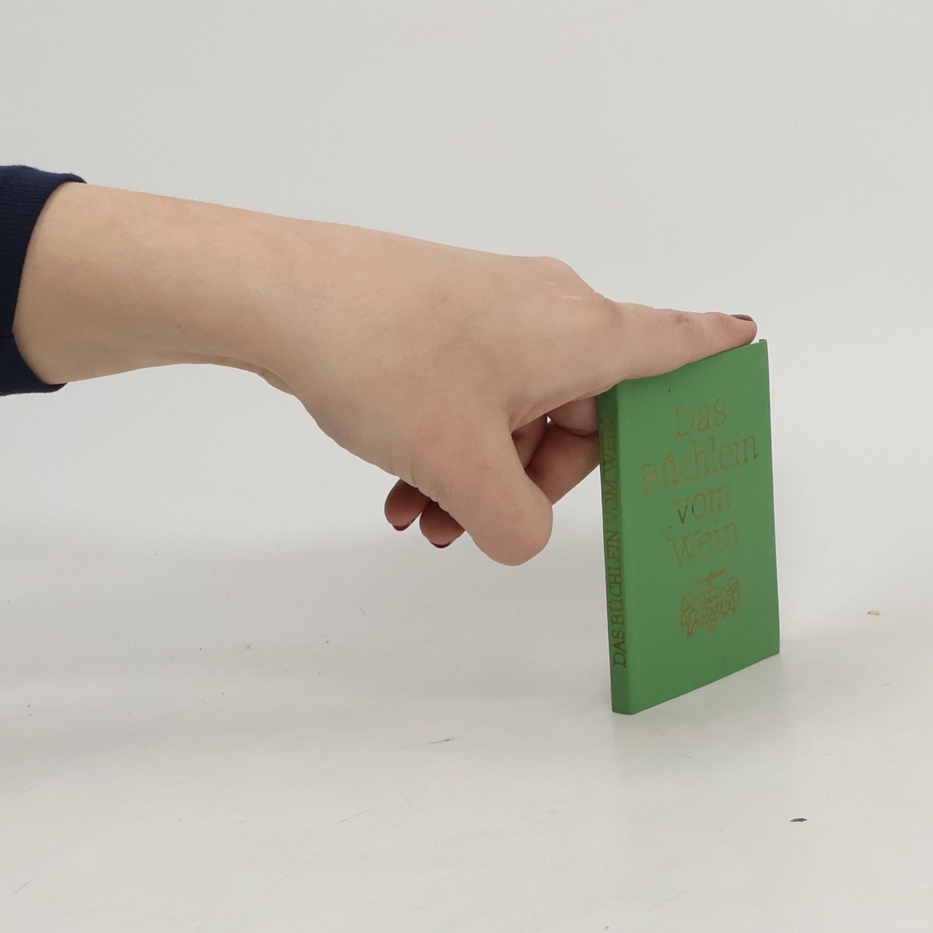 Autorenkollektiv Das Büchlein vom Wein