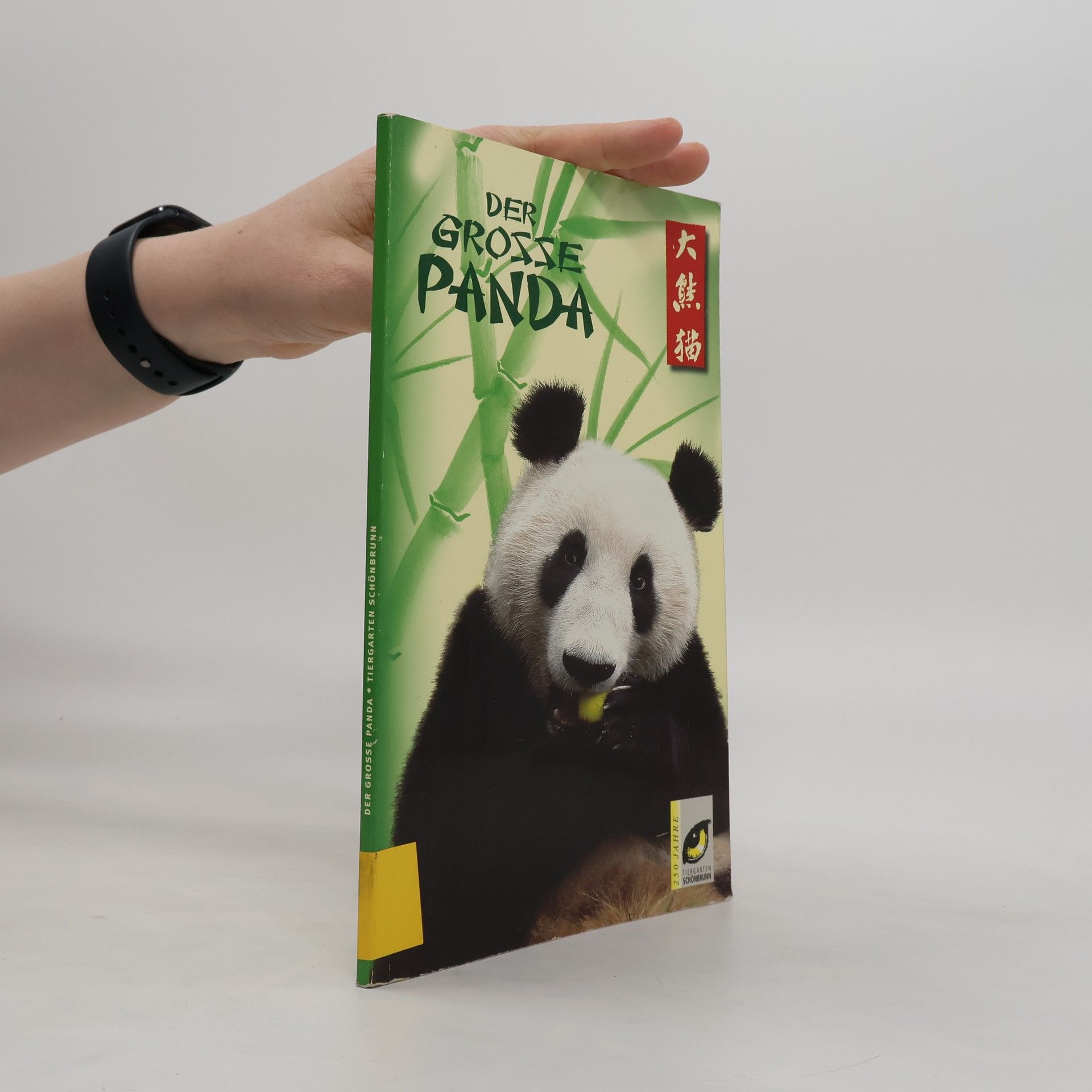 Regina Pfistermüller Der grosse Panda