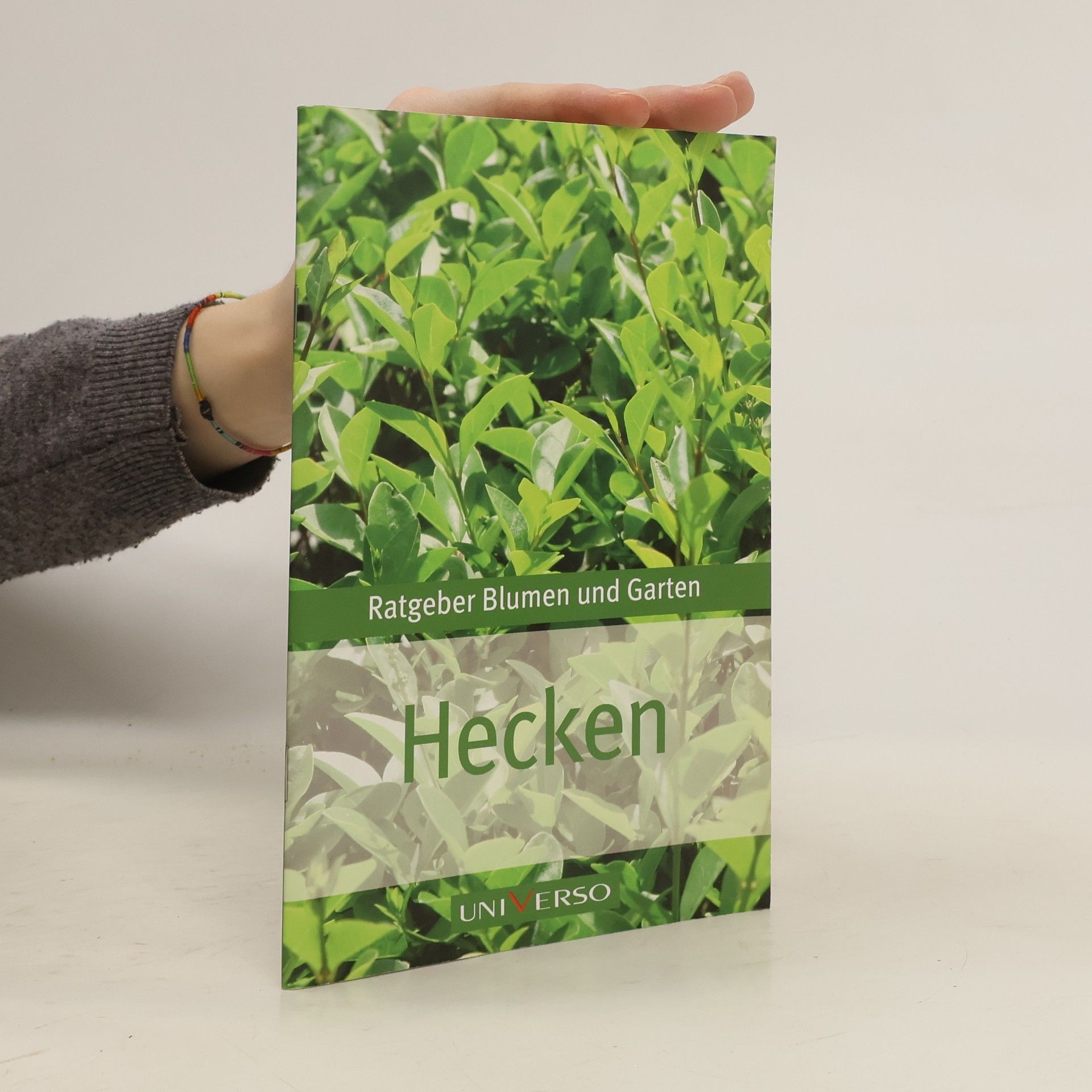 kolektiv Hecken