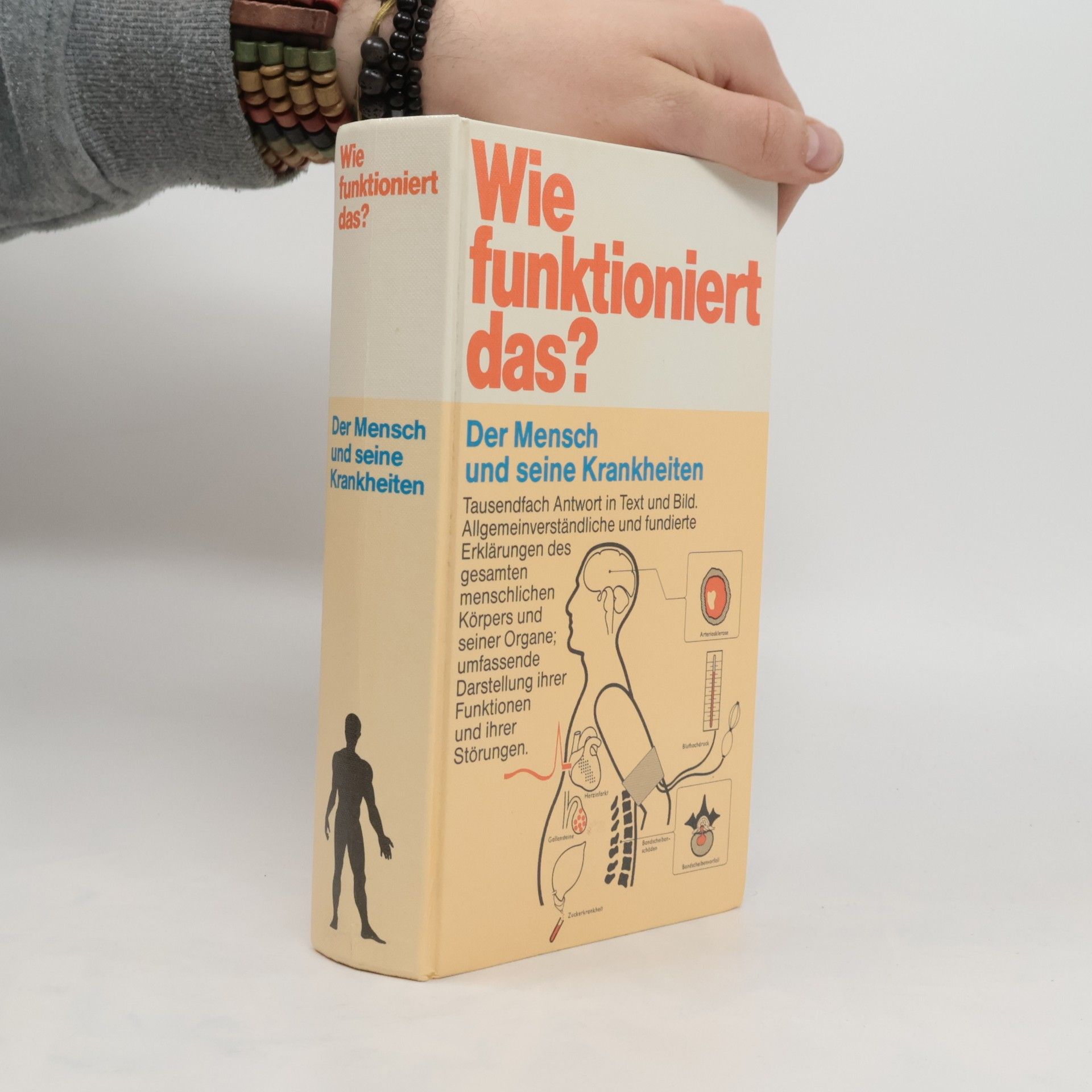 kolektiv Wie funktioniert das?