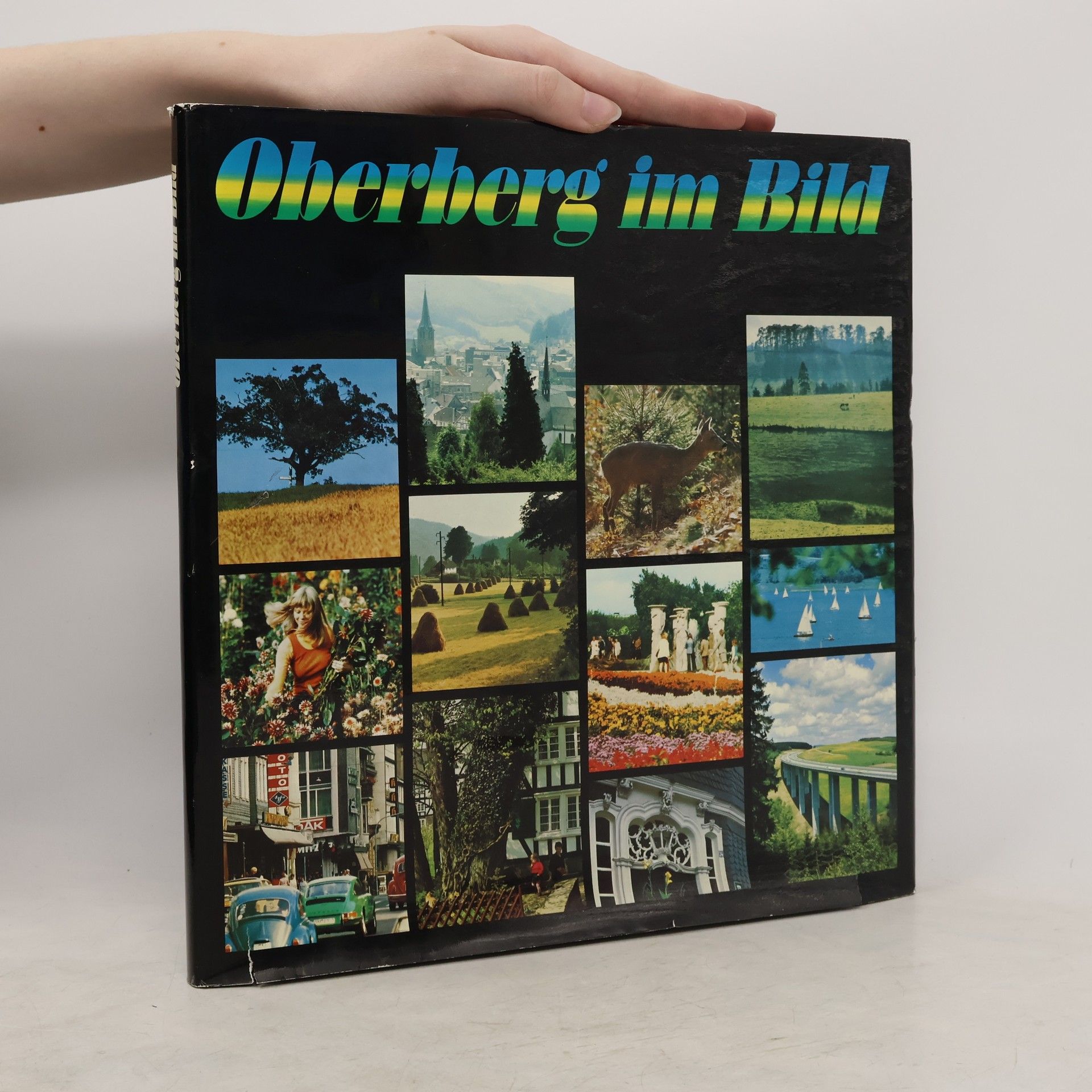 AA.VV. Oberberg im Bild