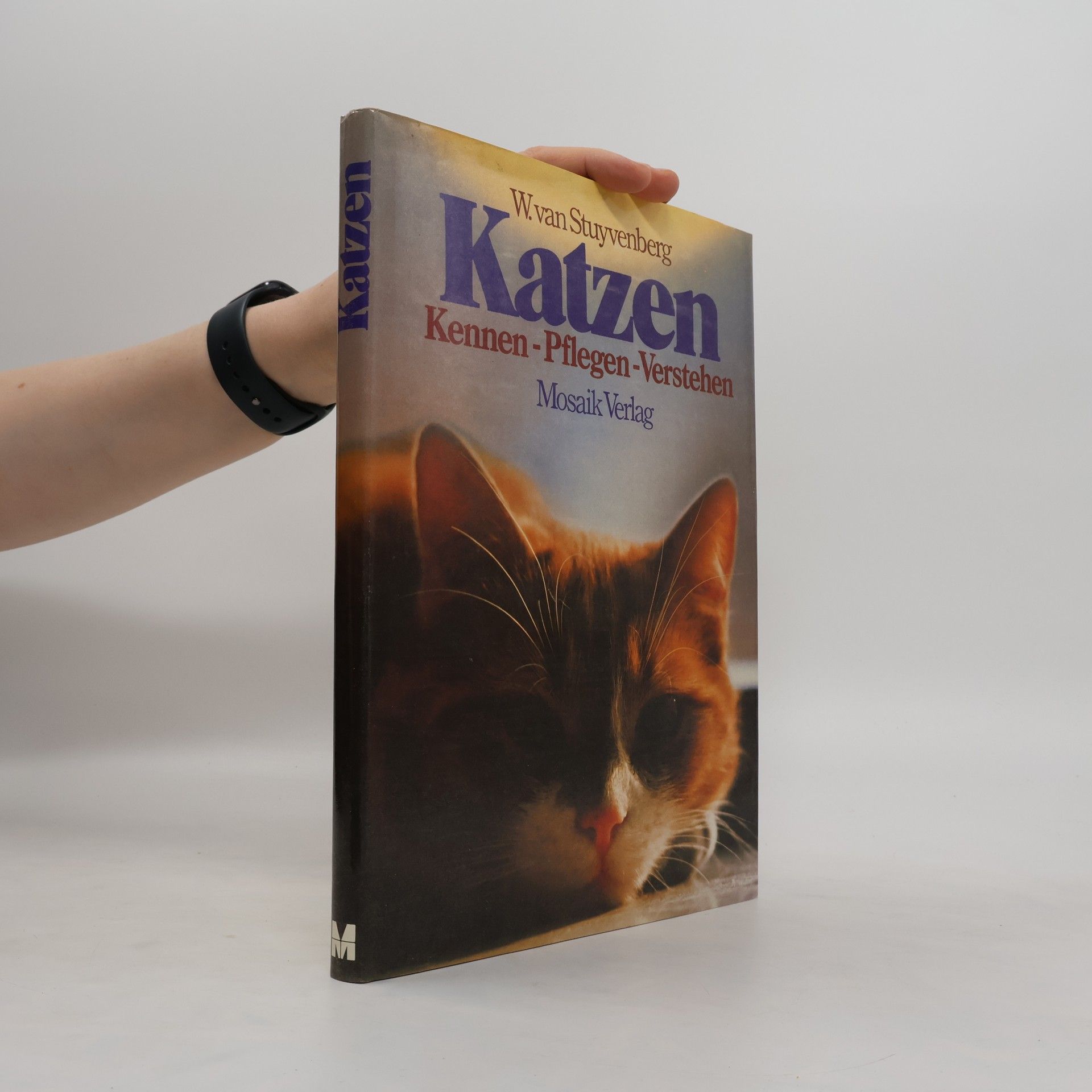 Willem van Stuyvenberg Katzen