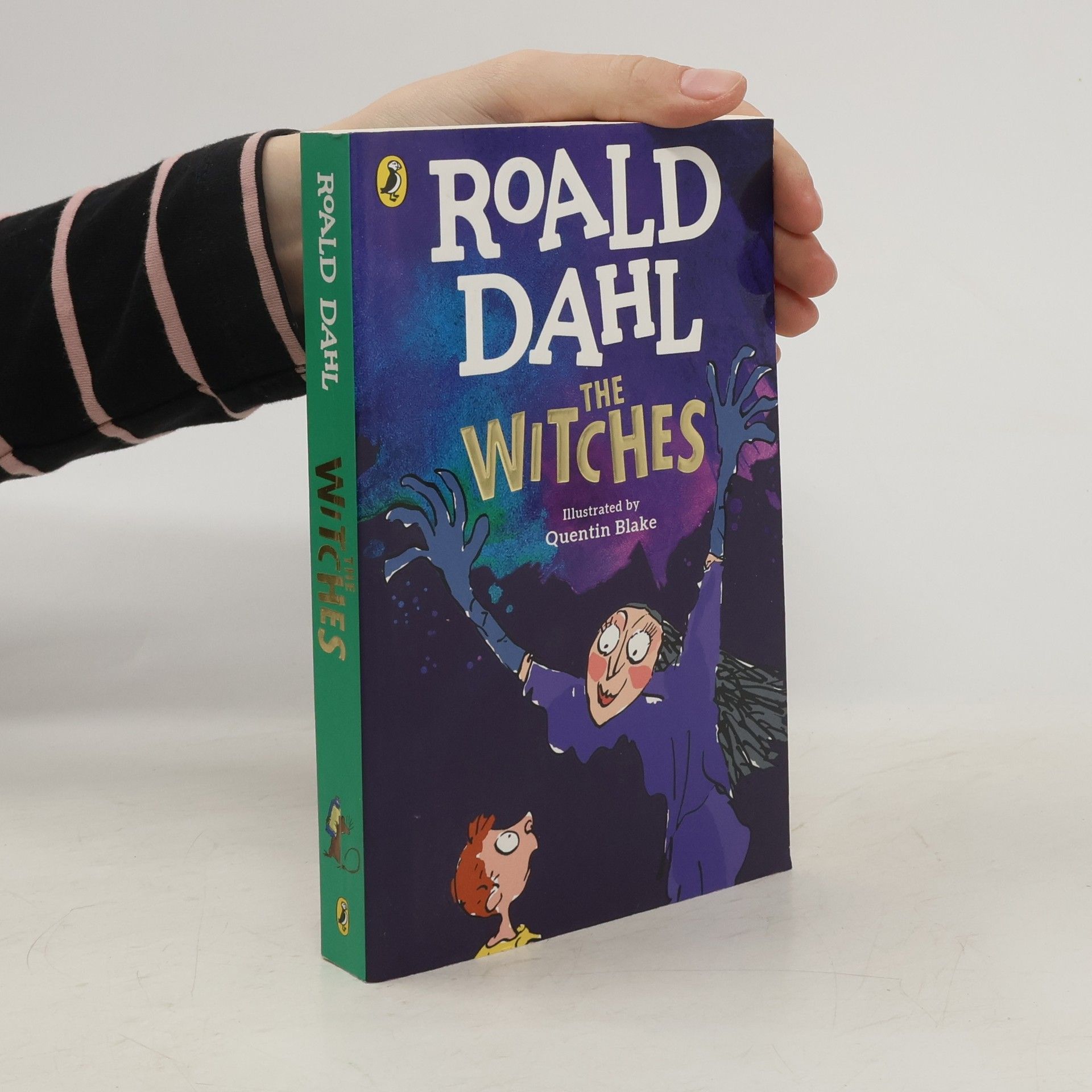Roald Dahl The Witches