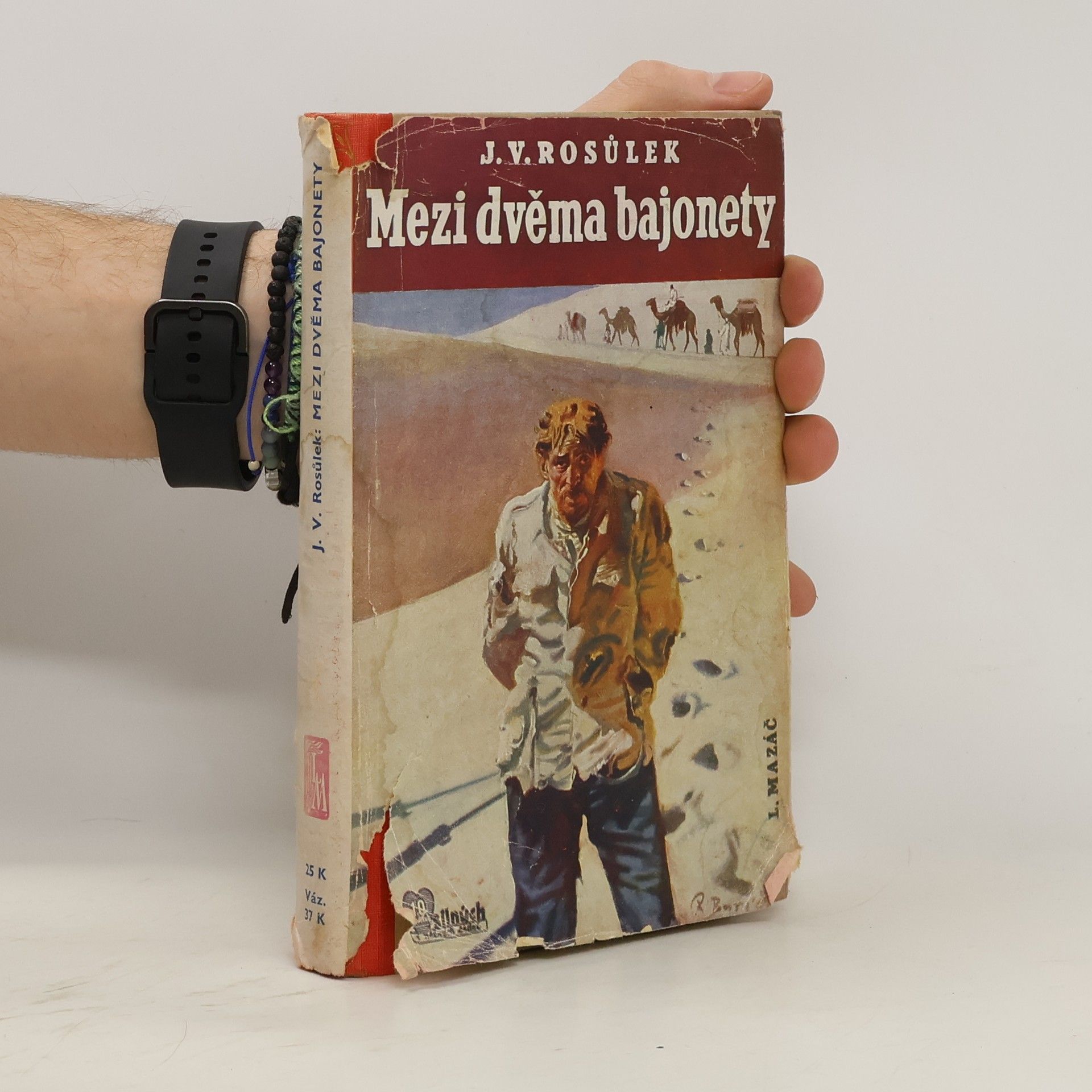 Jan Václav Rosůlek Mezi dvěma bajonety