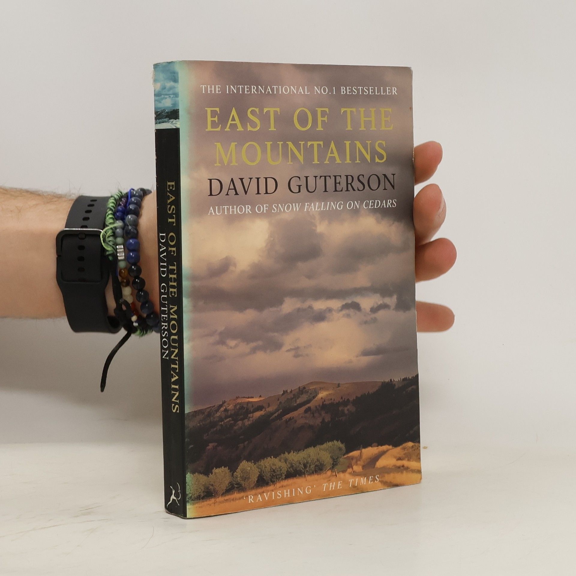 David Guterson East of the mountains